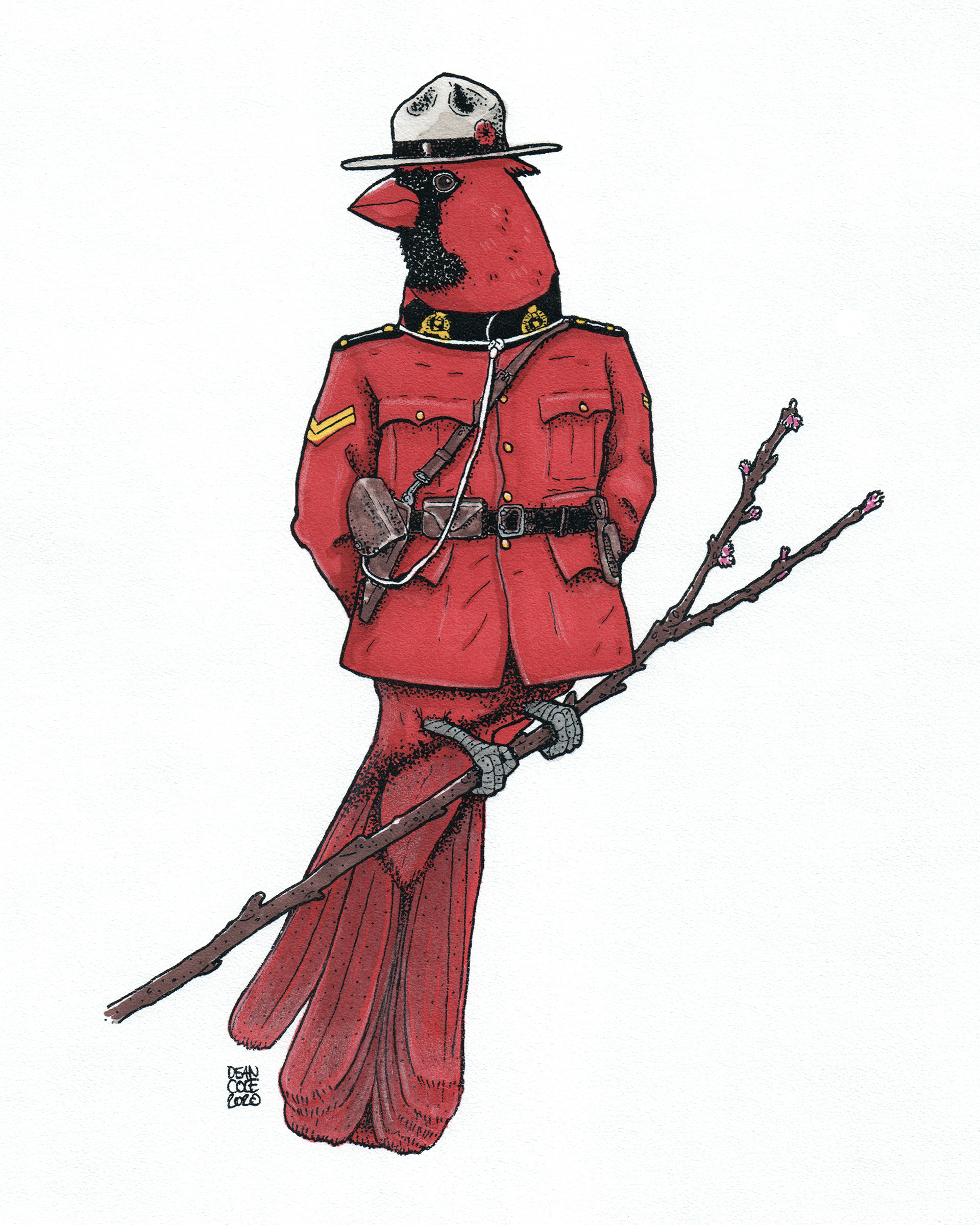 RCMP Cardinal