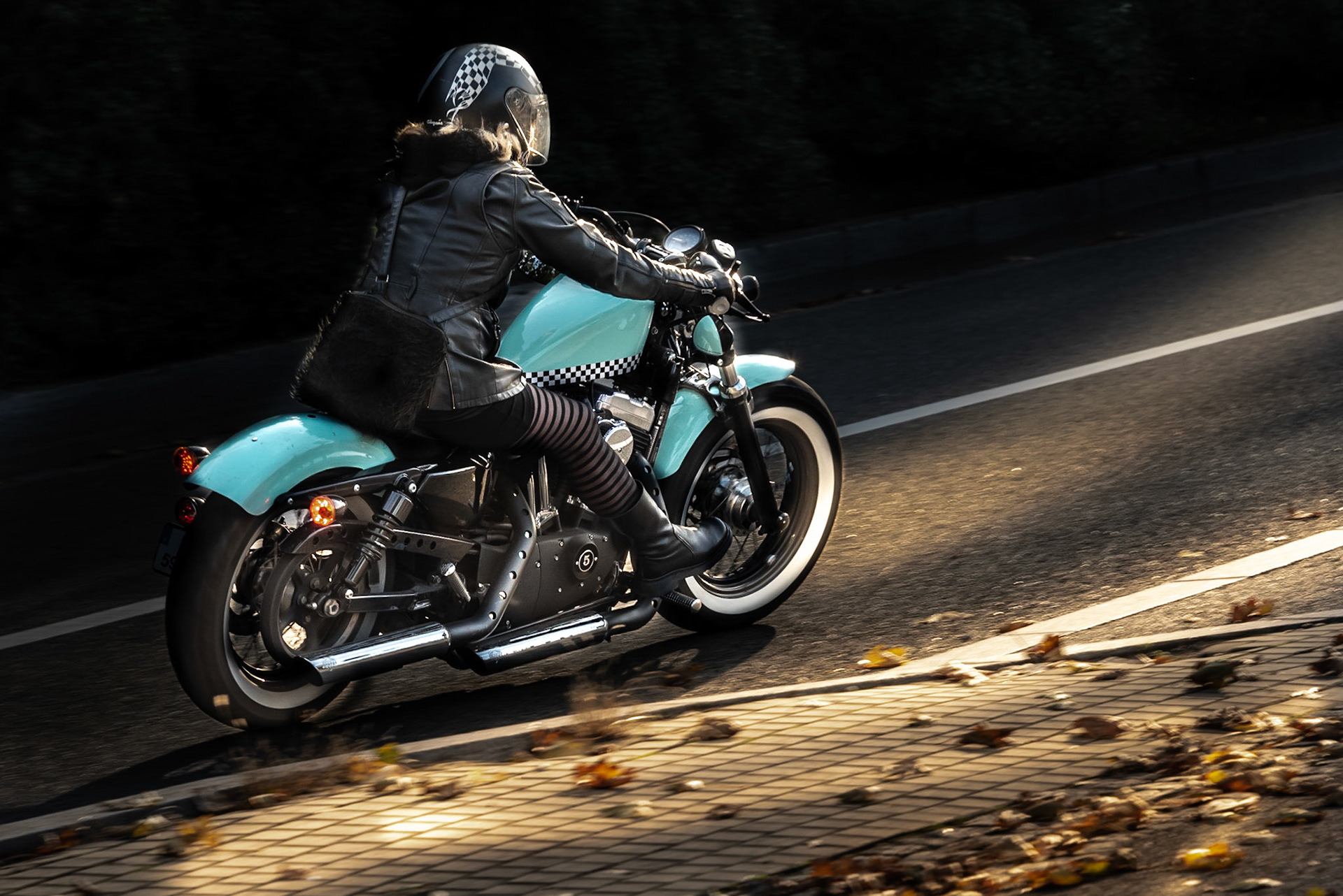 Harley Davidson Sportster 48