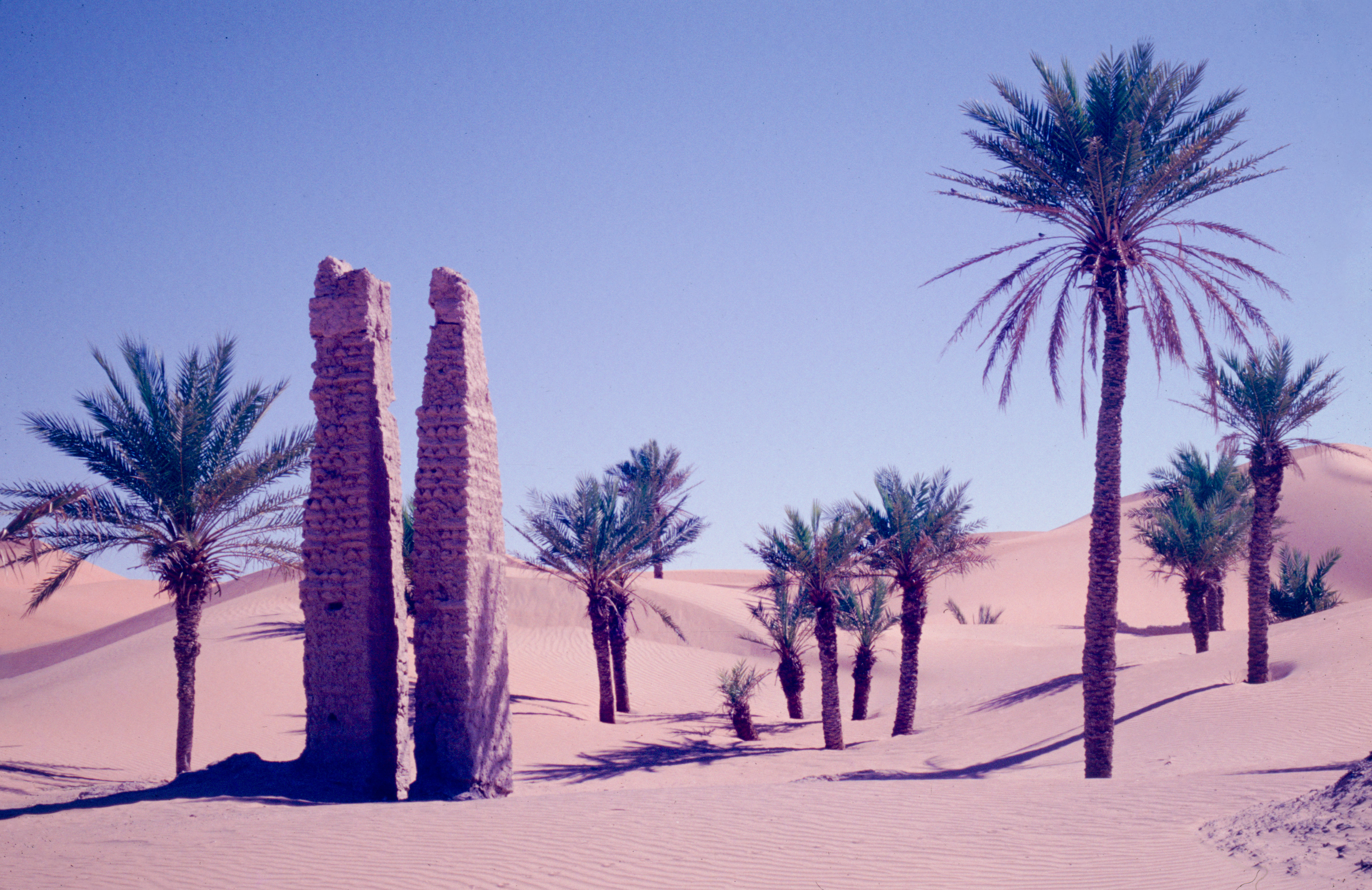 Beni Abbes / Argelia