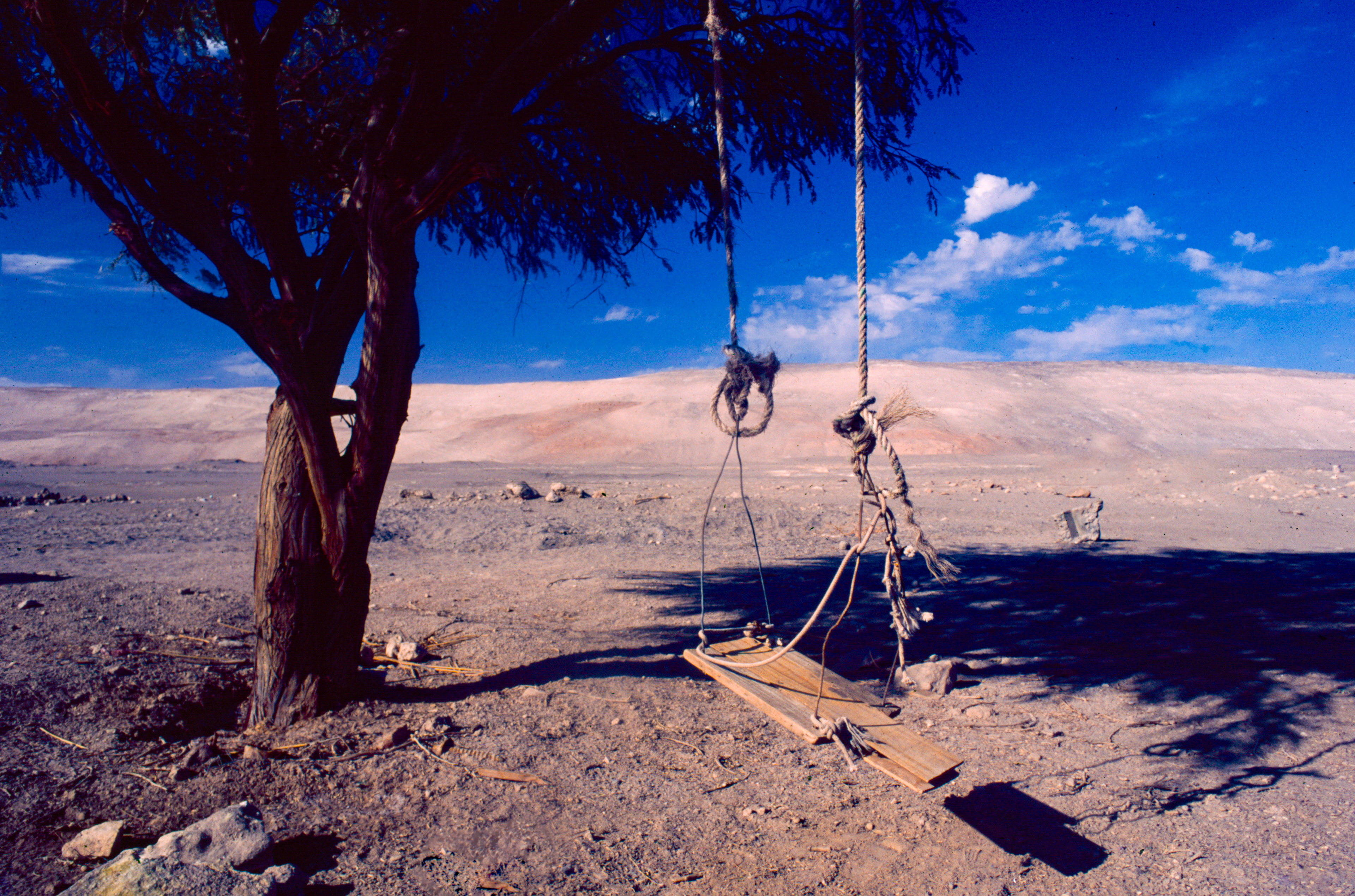 Pozo Almonte / Tarapacá / Chile