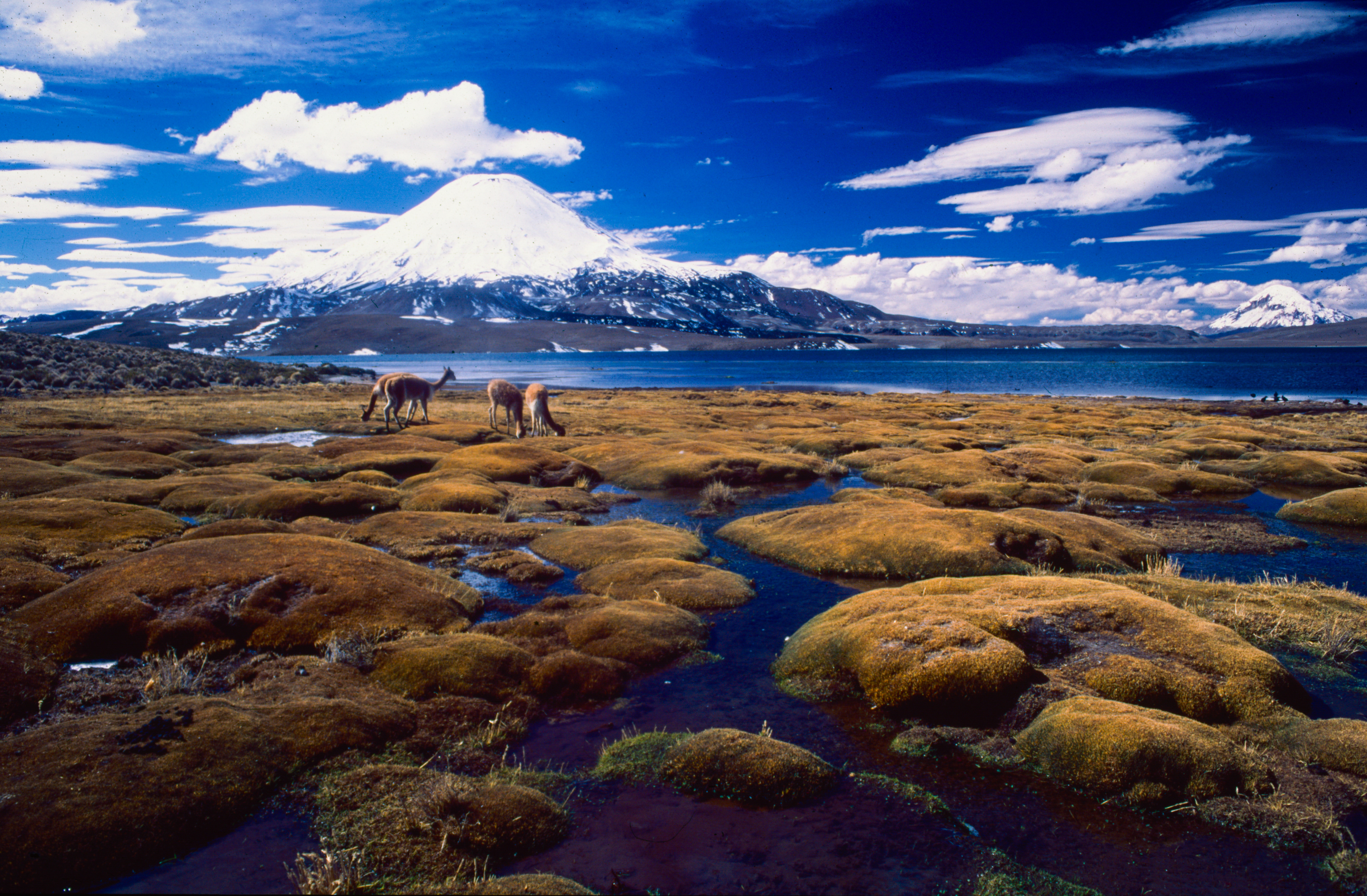 Segunda Región - Second Region / Chile