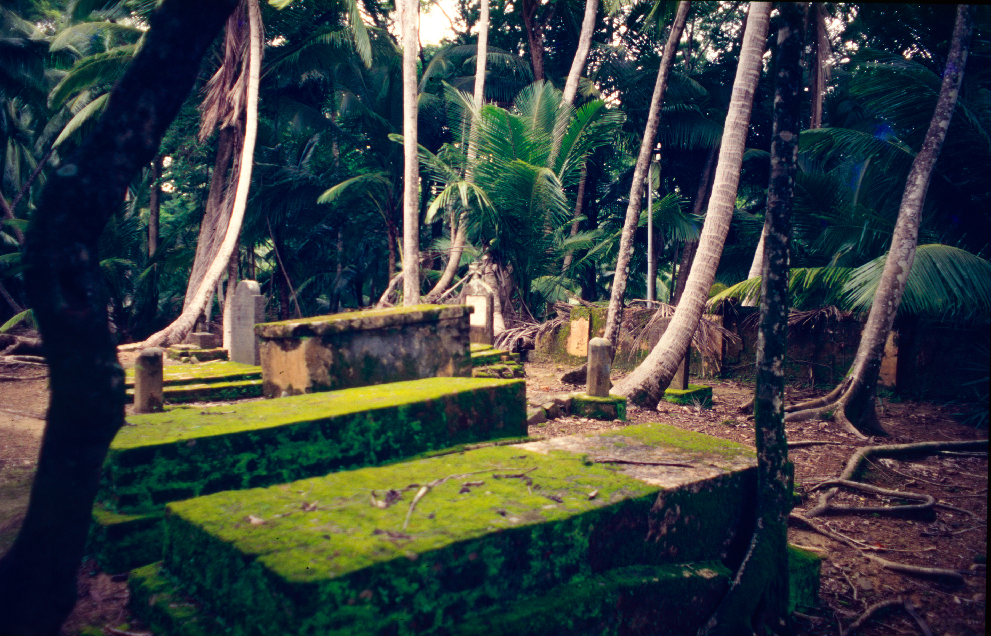 Isla Ross - Ross Island / Andamán / India