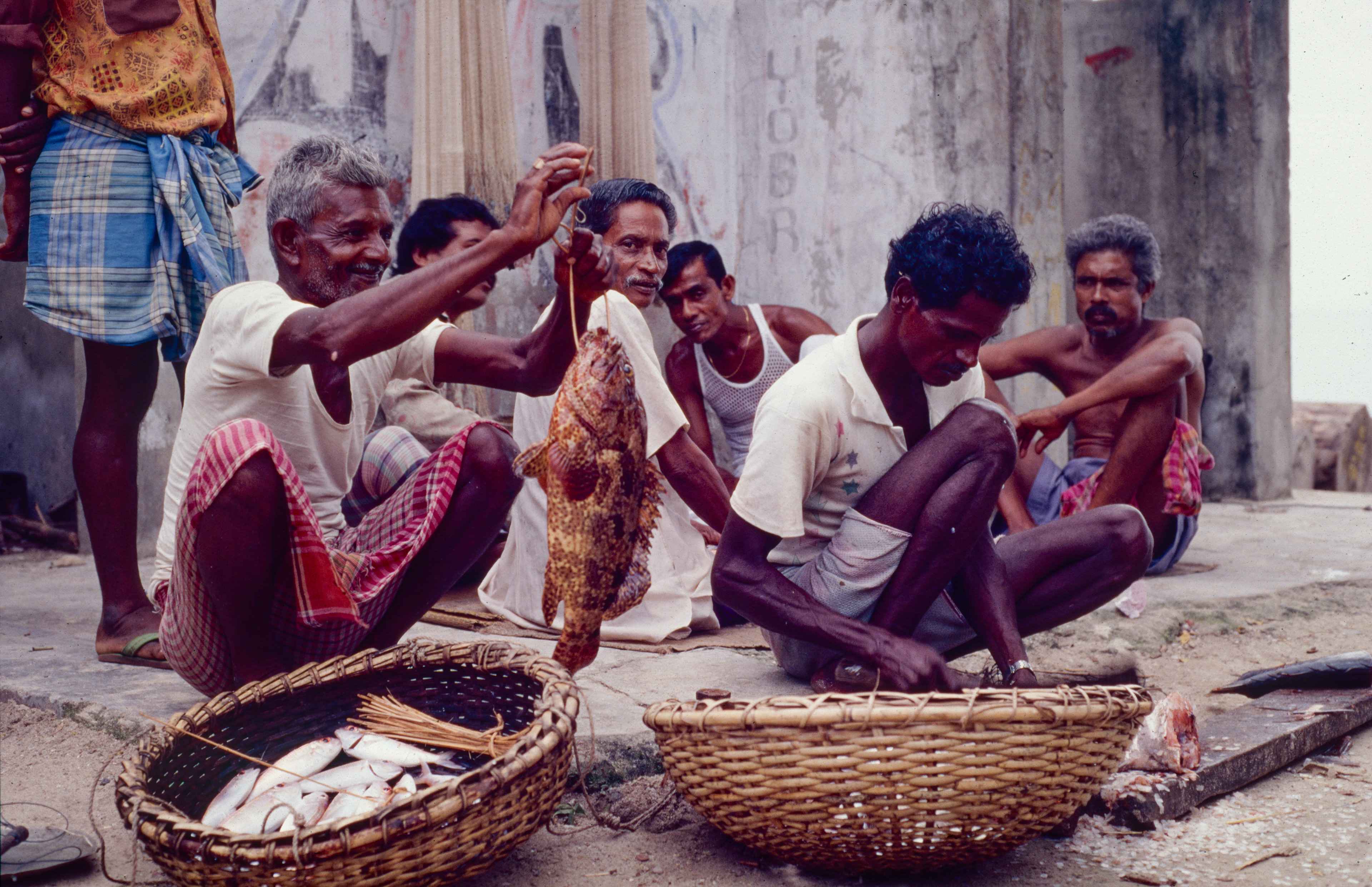 Kovalam / Tamil Nadu / India