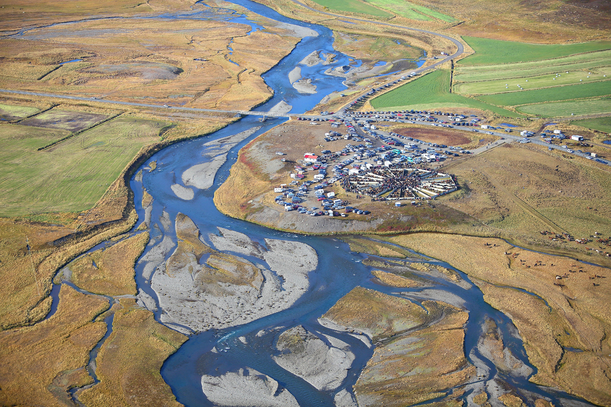 Horse gathering at Laufskálarétt