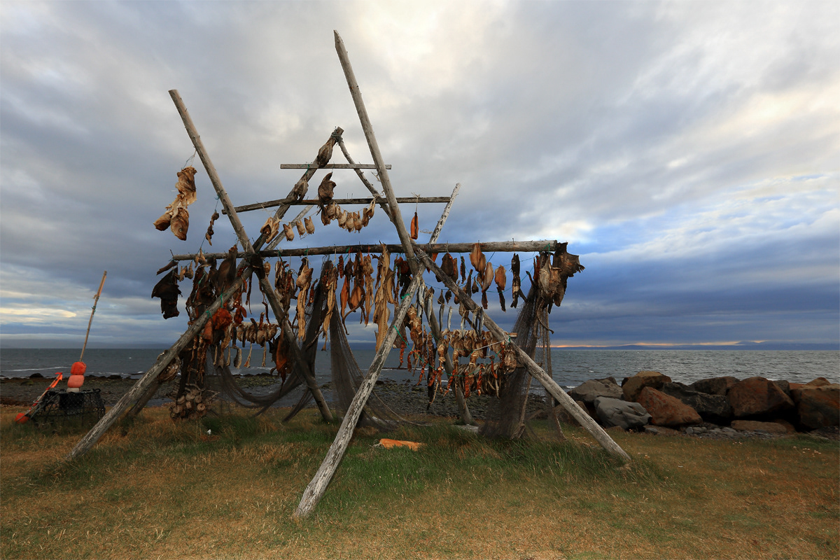 Drying fish for festival