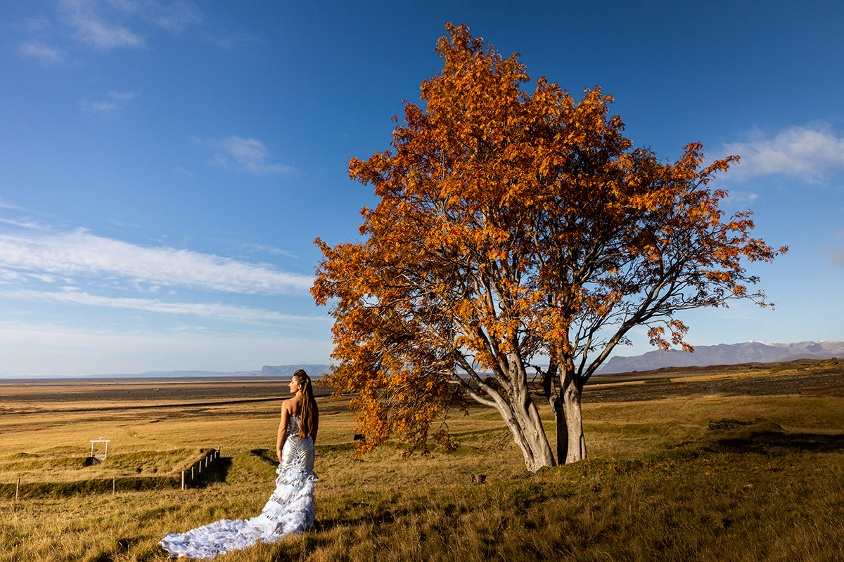 100 years old Autumn tree