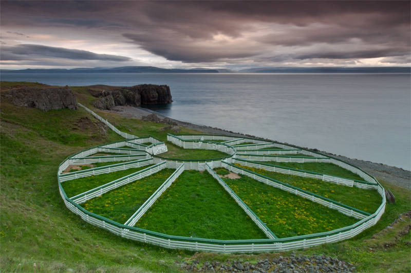 Hamarsrétt, sheep gathering