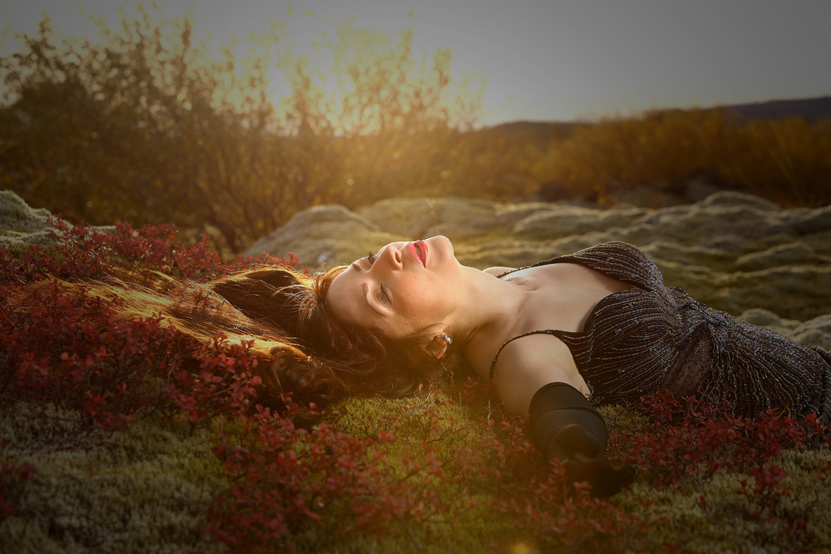 Autumn colours in the evening sun