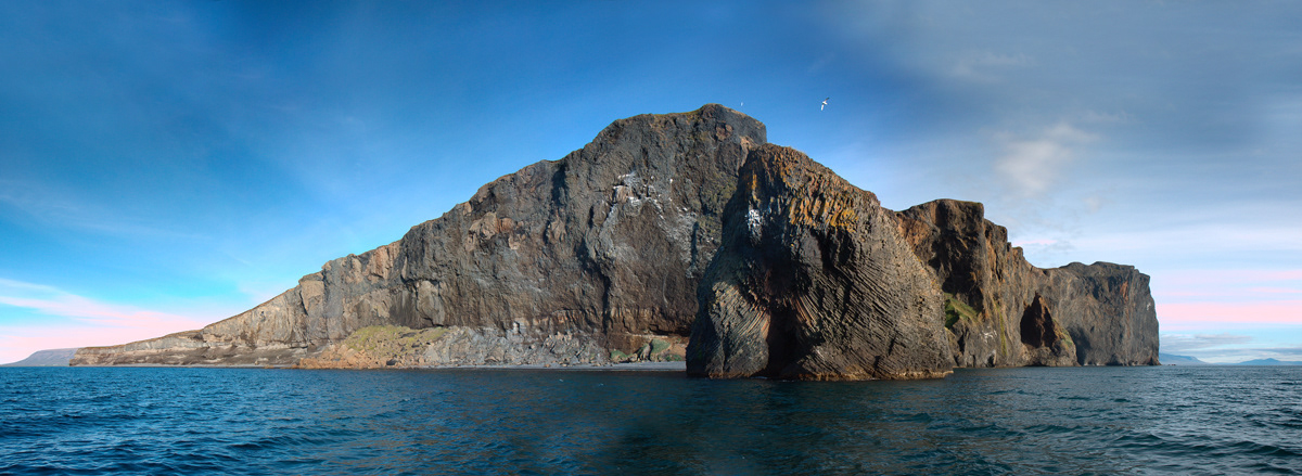 Island Þórðarhöfði and the columnar rose