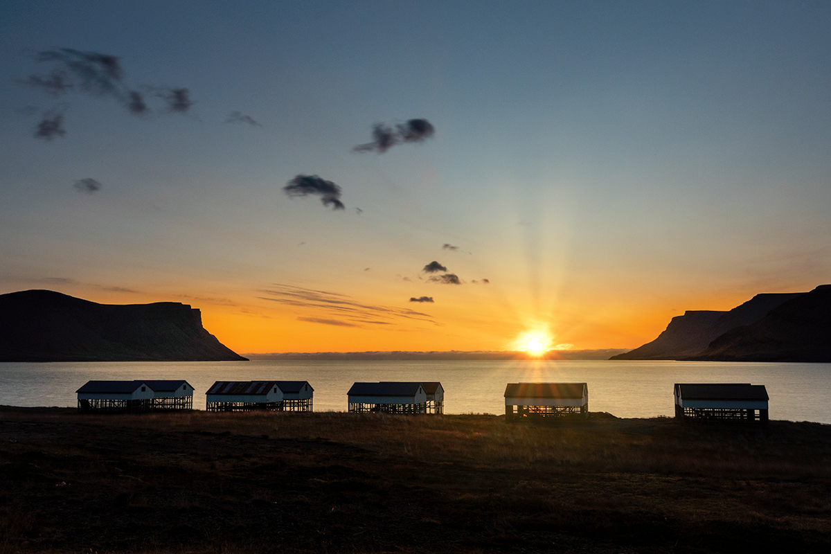 Þingeyri sunset