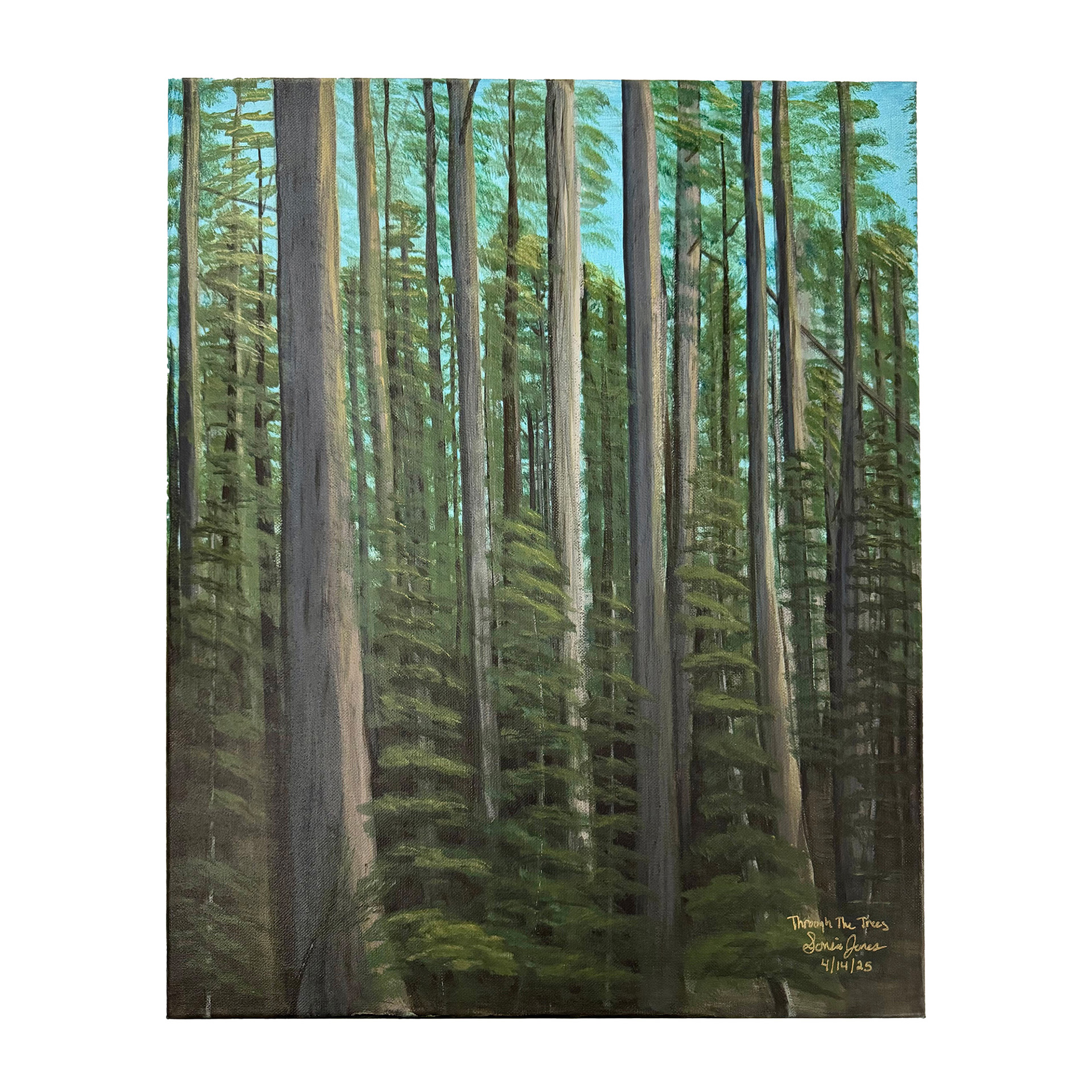 Through The Trees 16x20