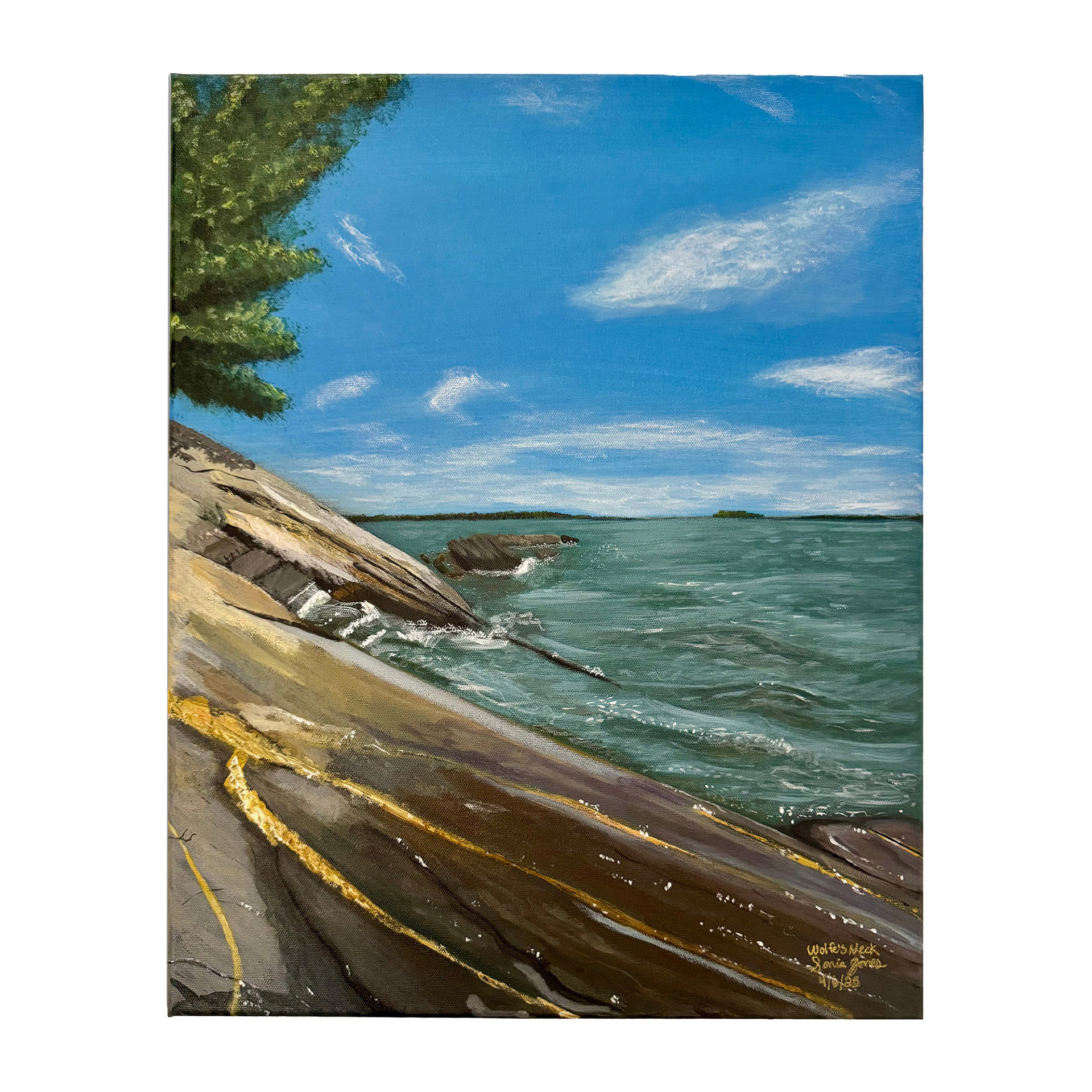Wolfe's Neck 16x20