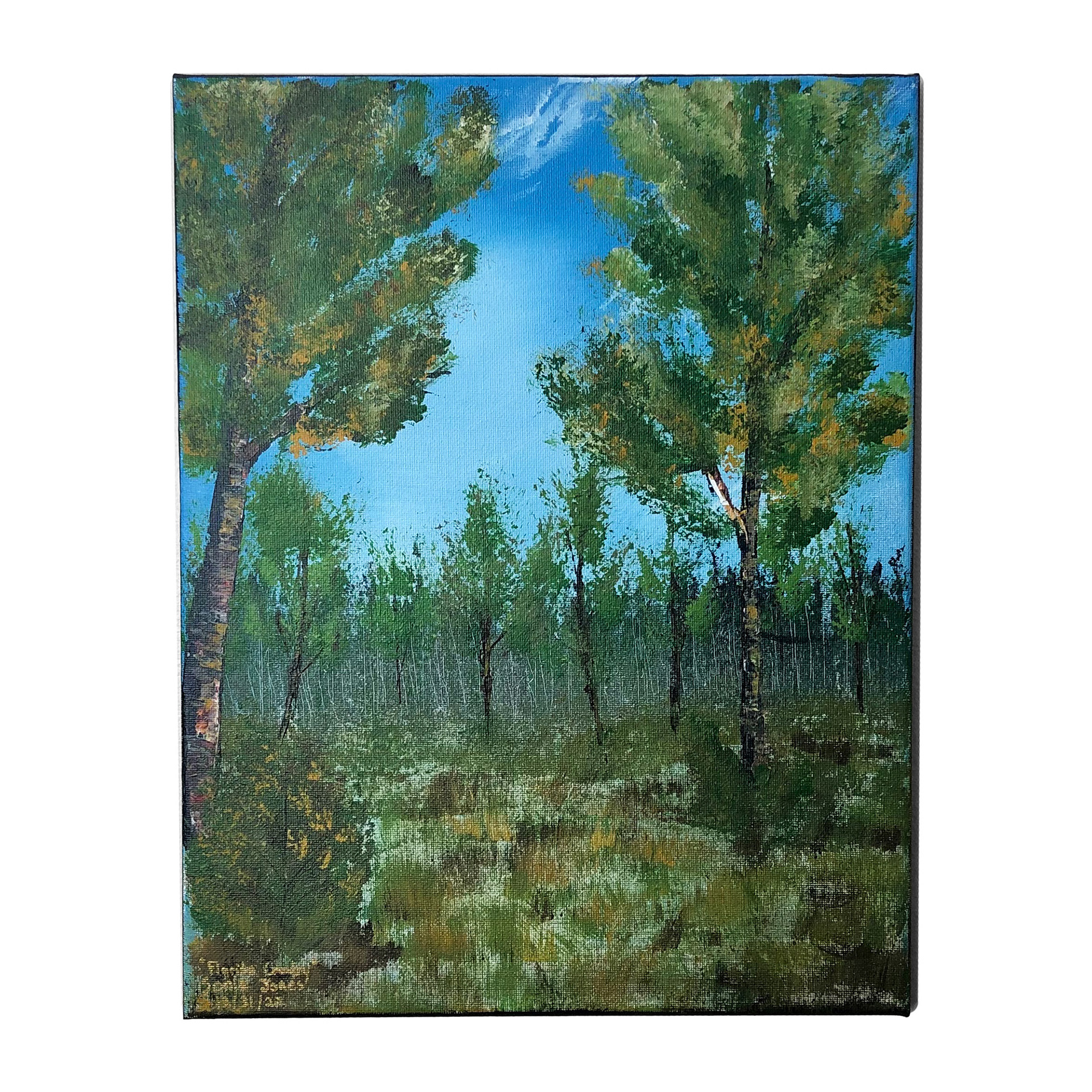 Florida Country 11x14