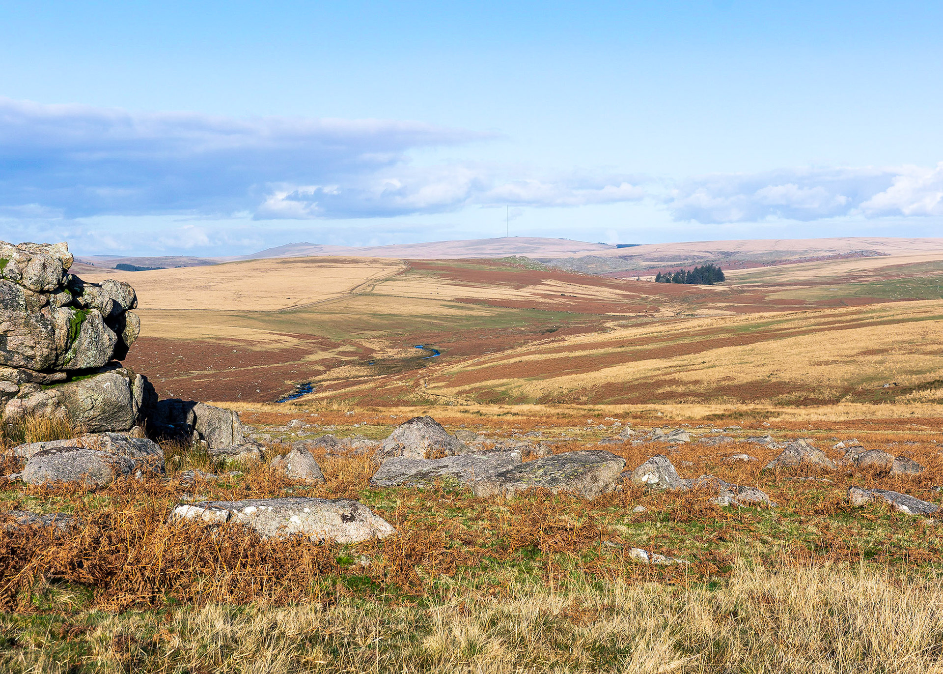 View from Little Trowlesworthy Tor