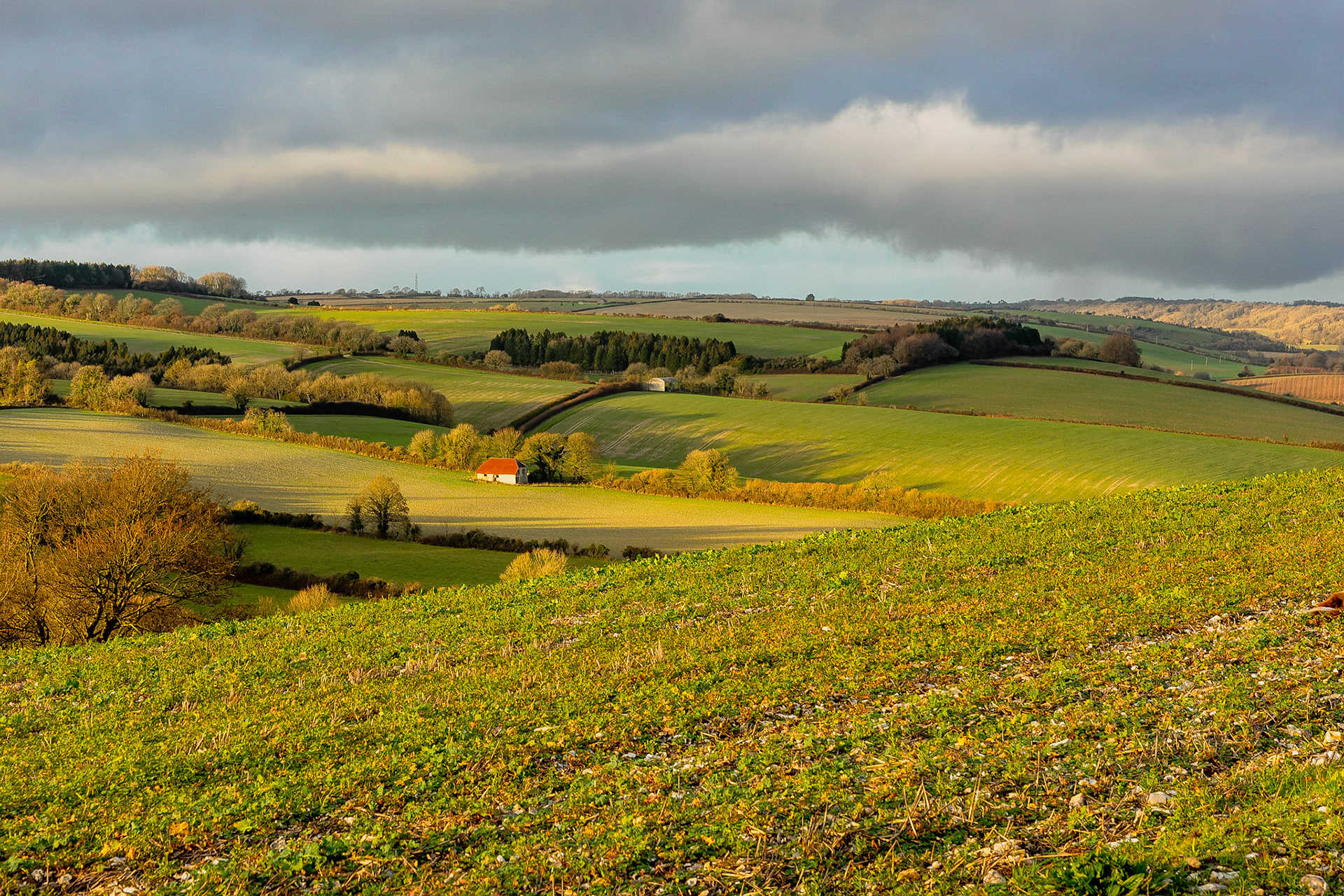 Christmas walk from Nether Cerne