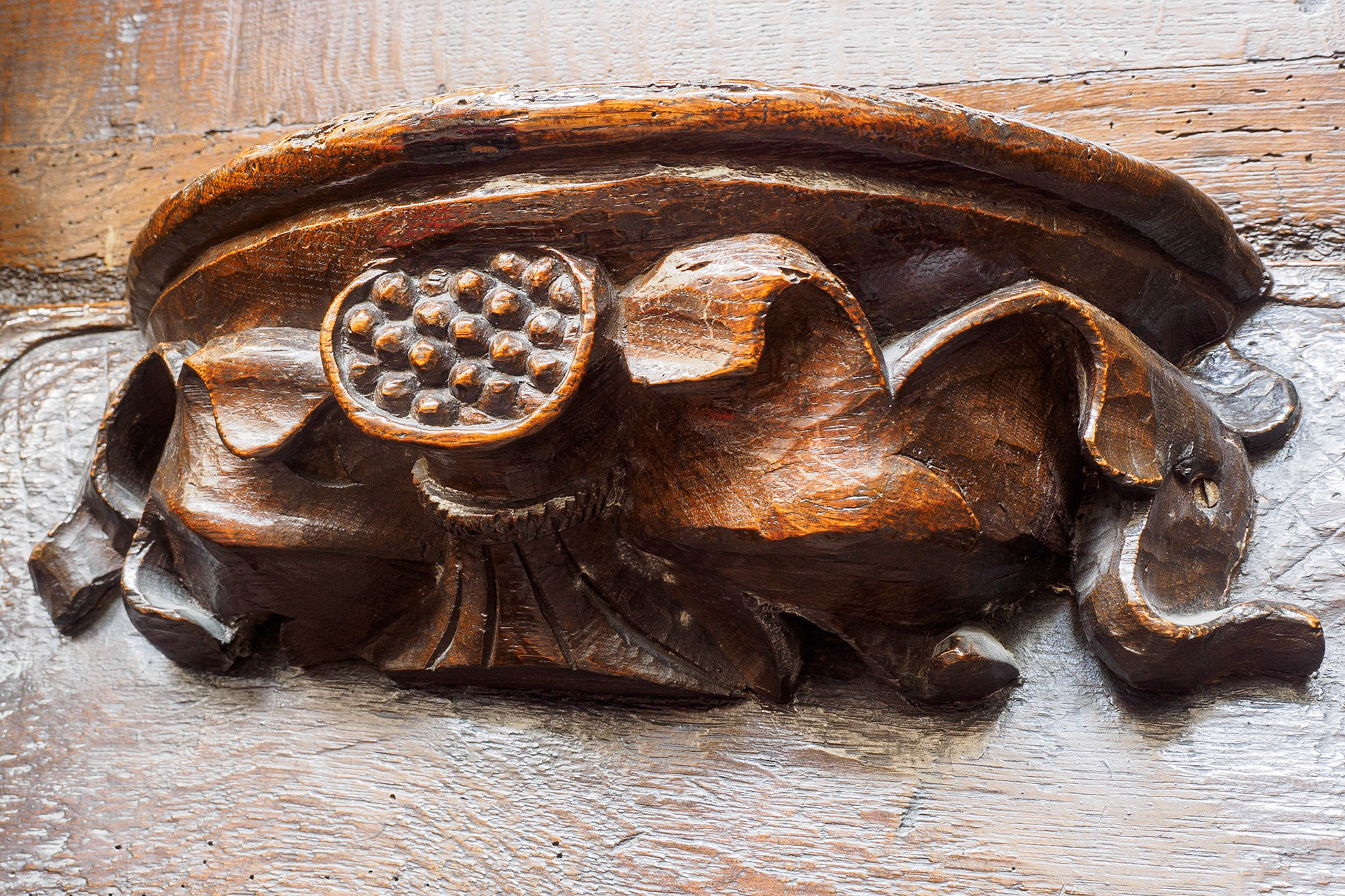 Misericord, Christchurch Priory
