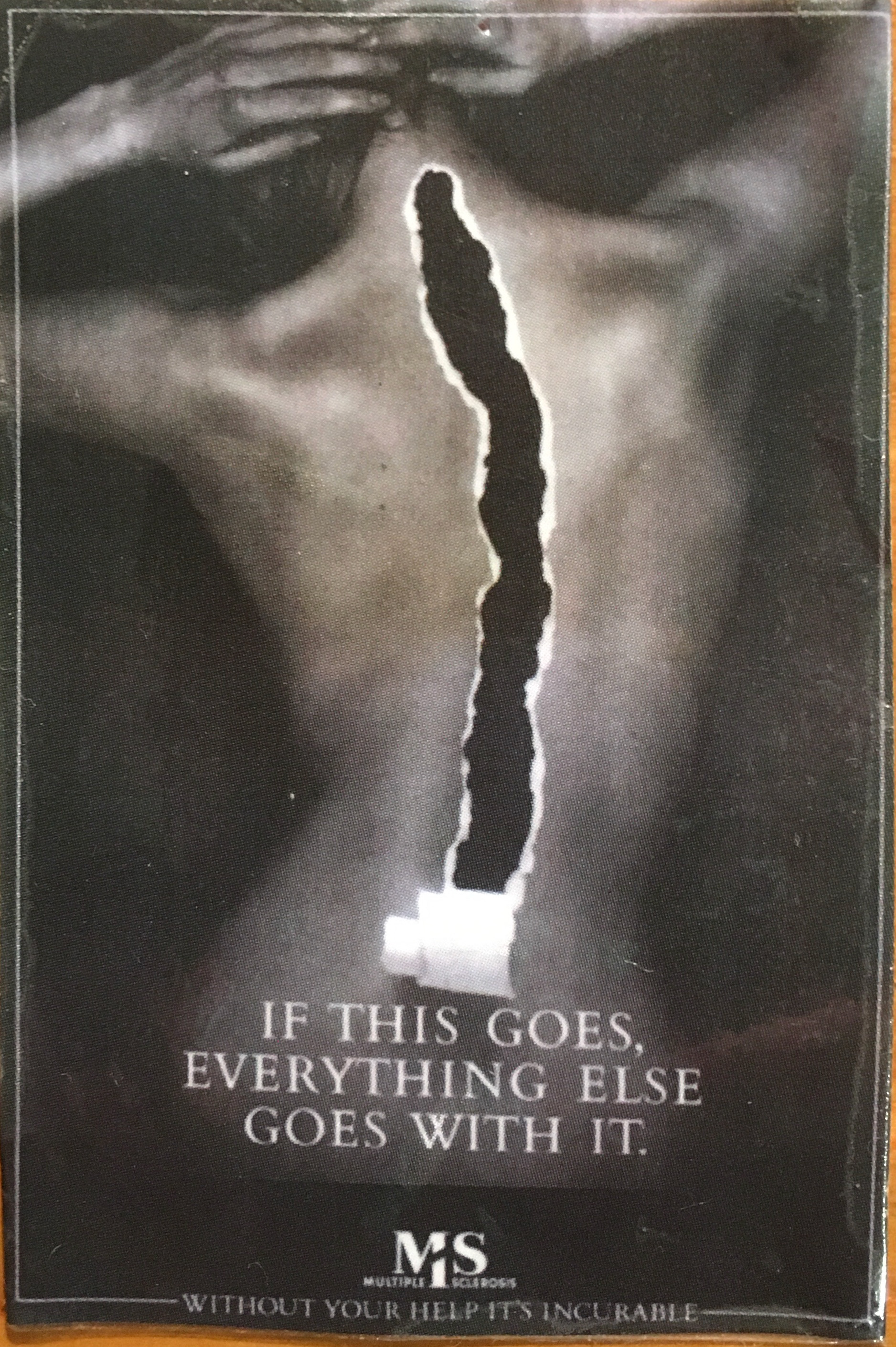 MS Society - "If this goes everything else goes with it" image