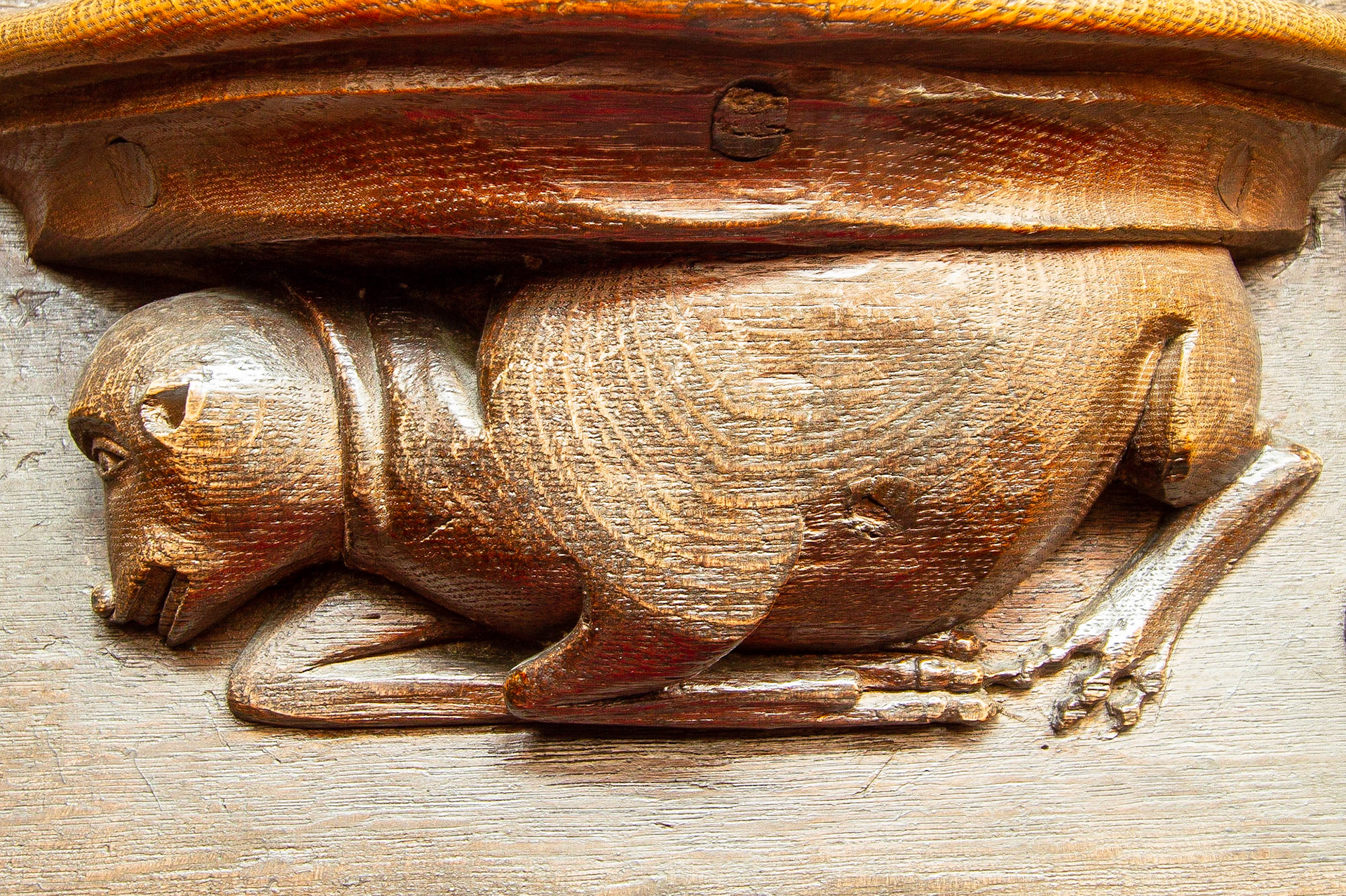 Misericord, Christchurch Priory