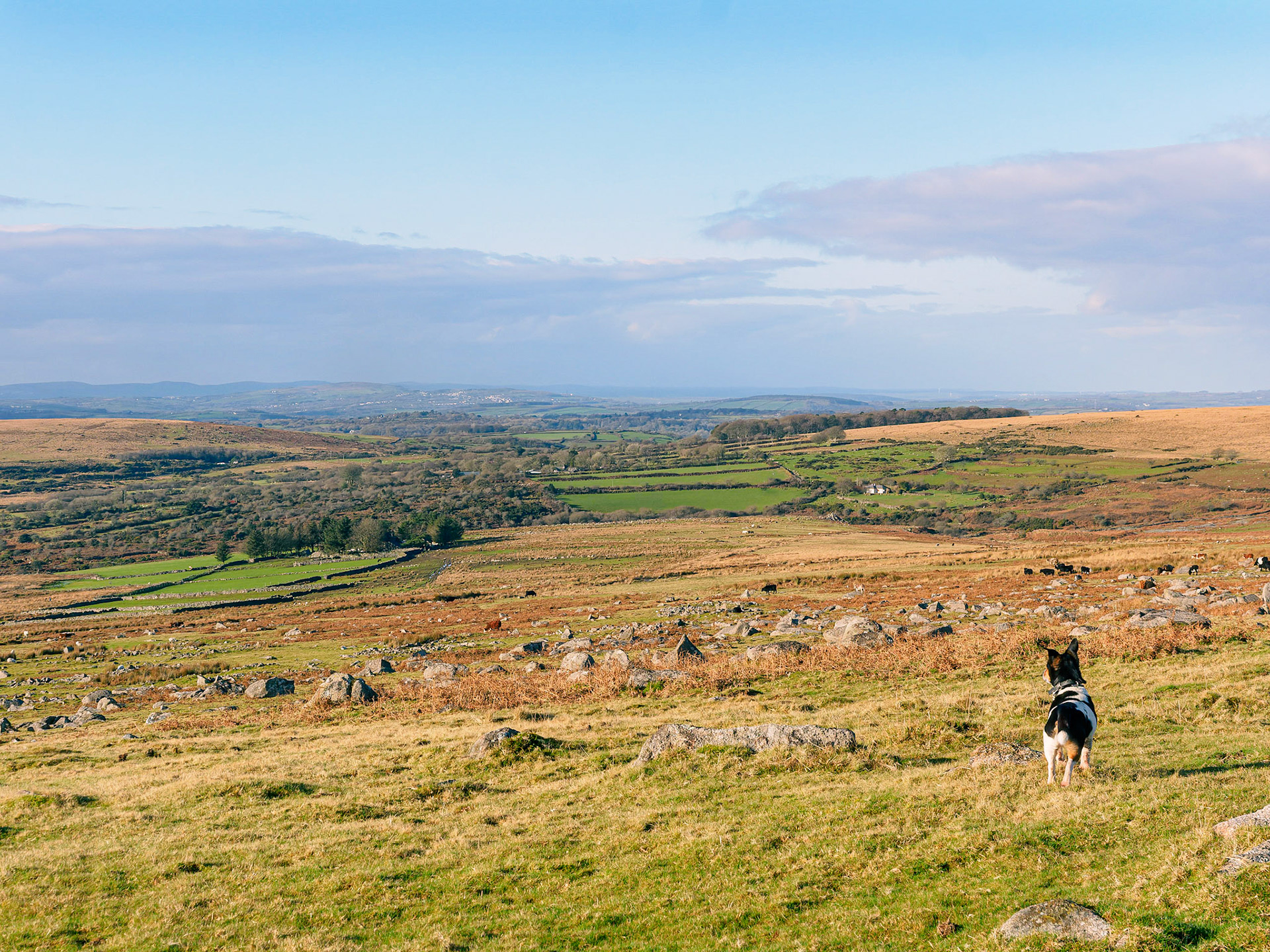 "Finest view in Europe"