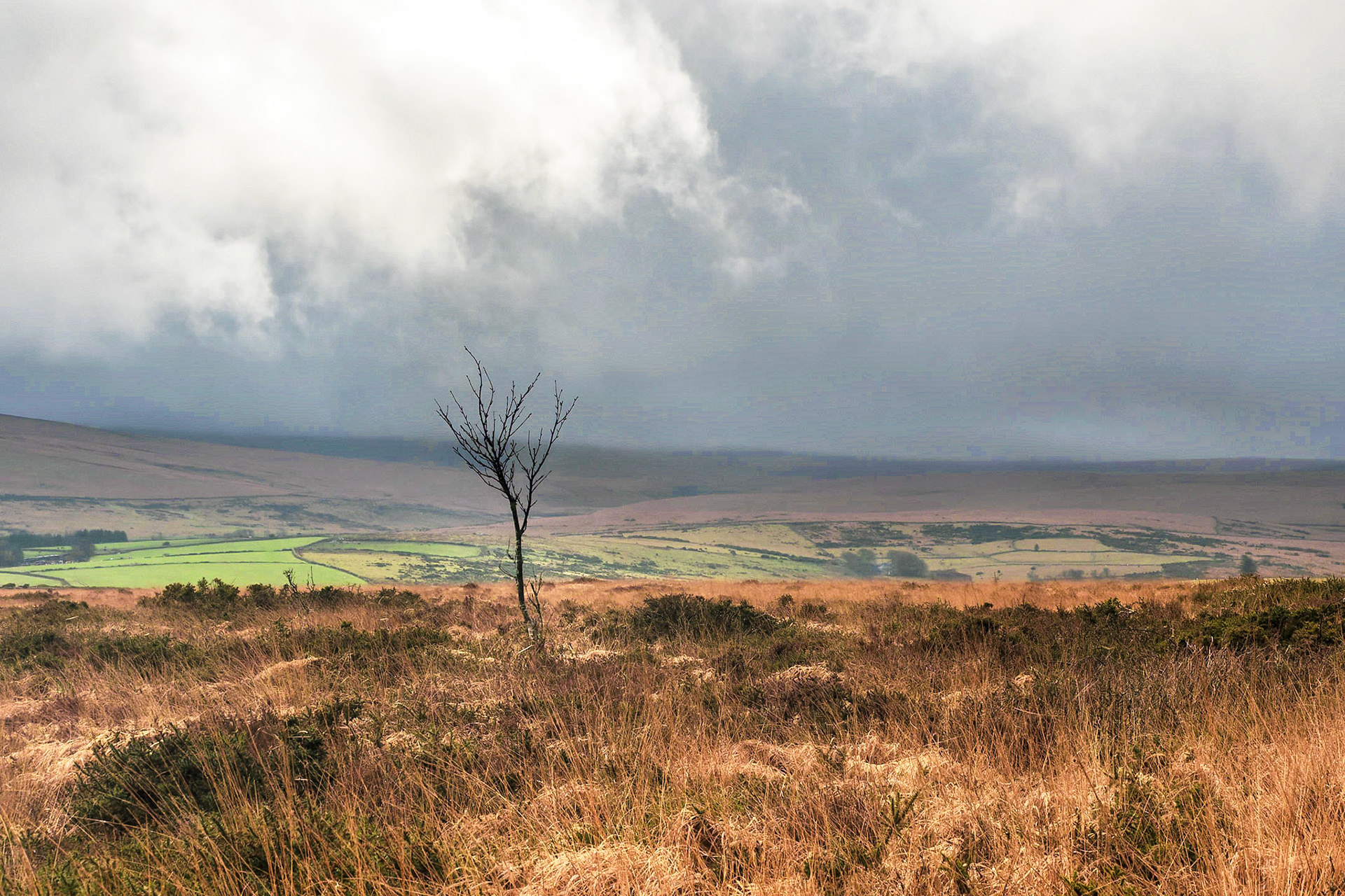 Above Okehampton camp