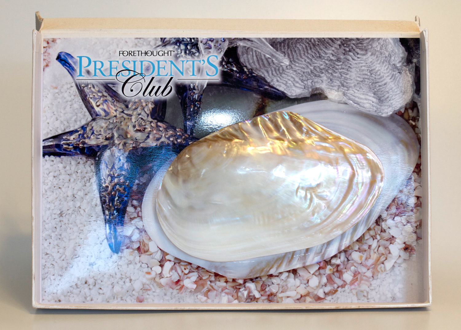 Inside of Save the Date box with Shell