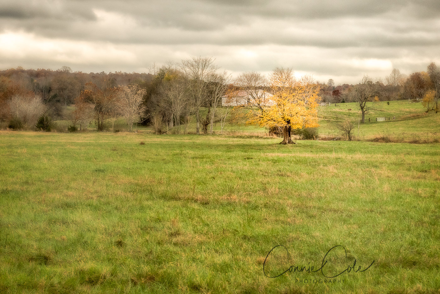 Bold Springs, TN