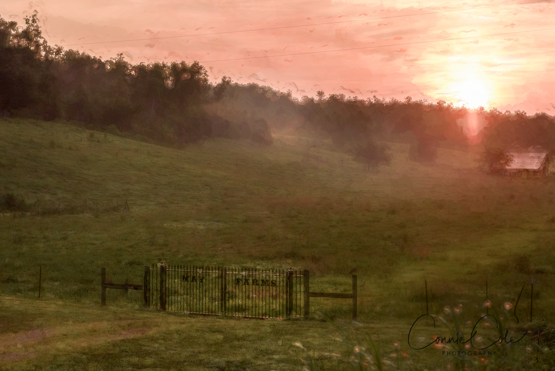 May Farm Hwy 13 South, Lobelville, TN