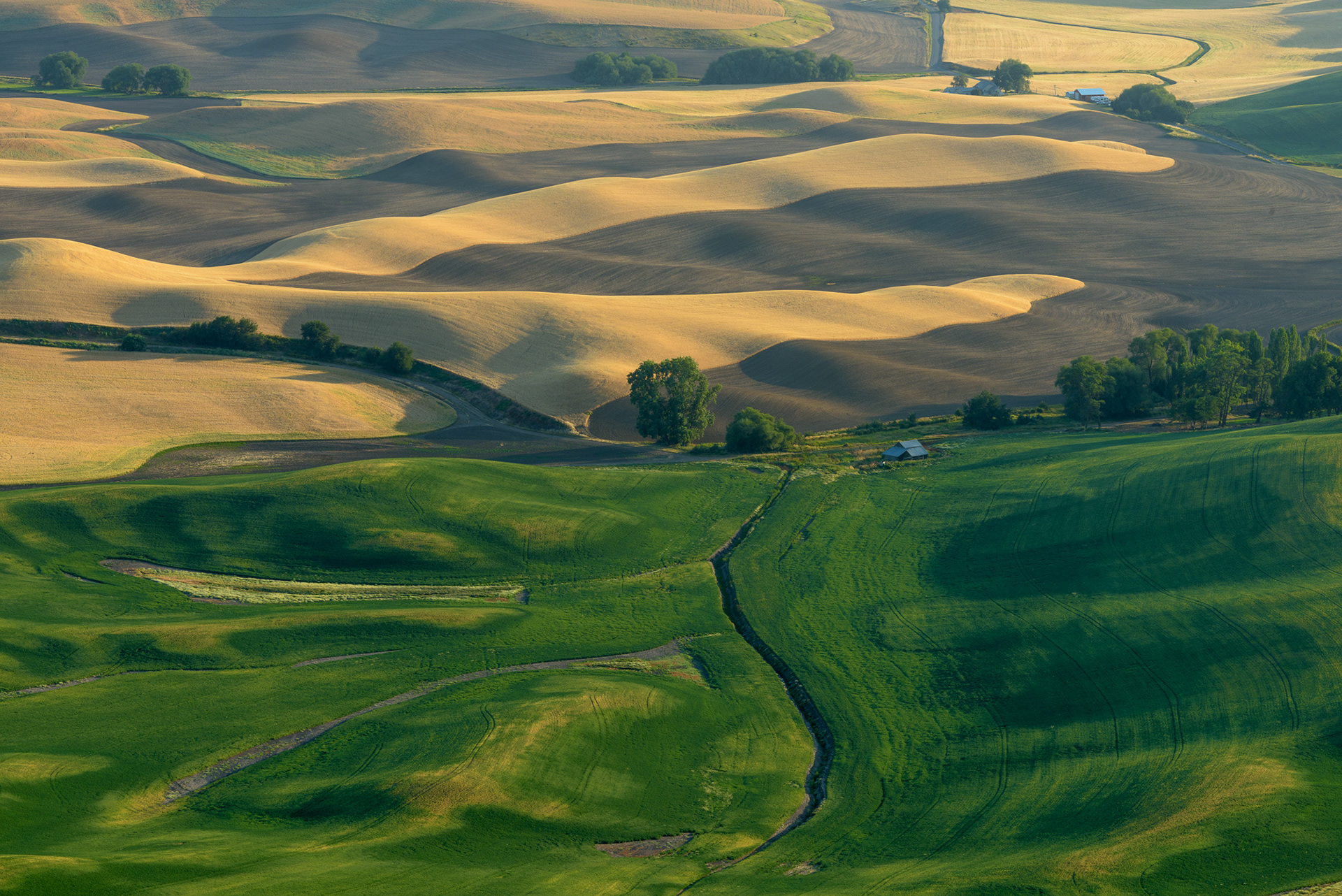 Steptoe Butte, Washington