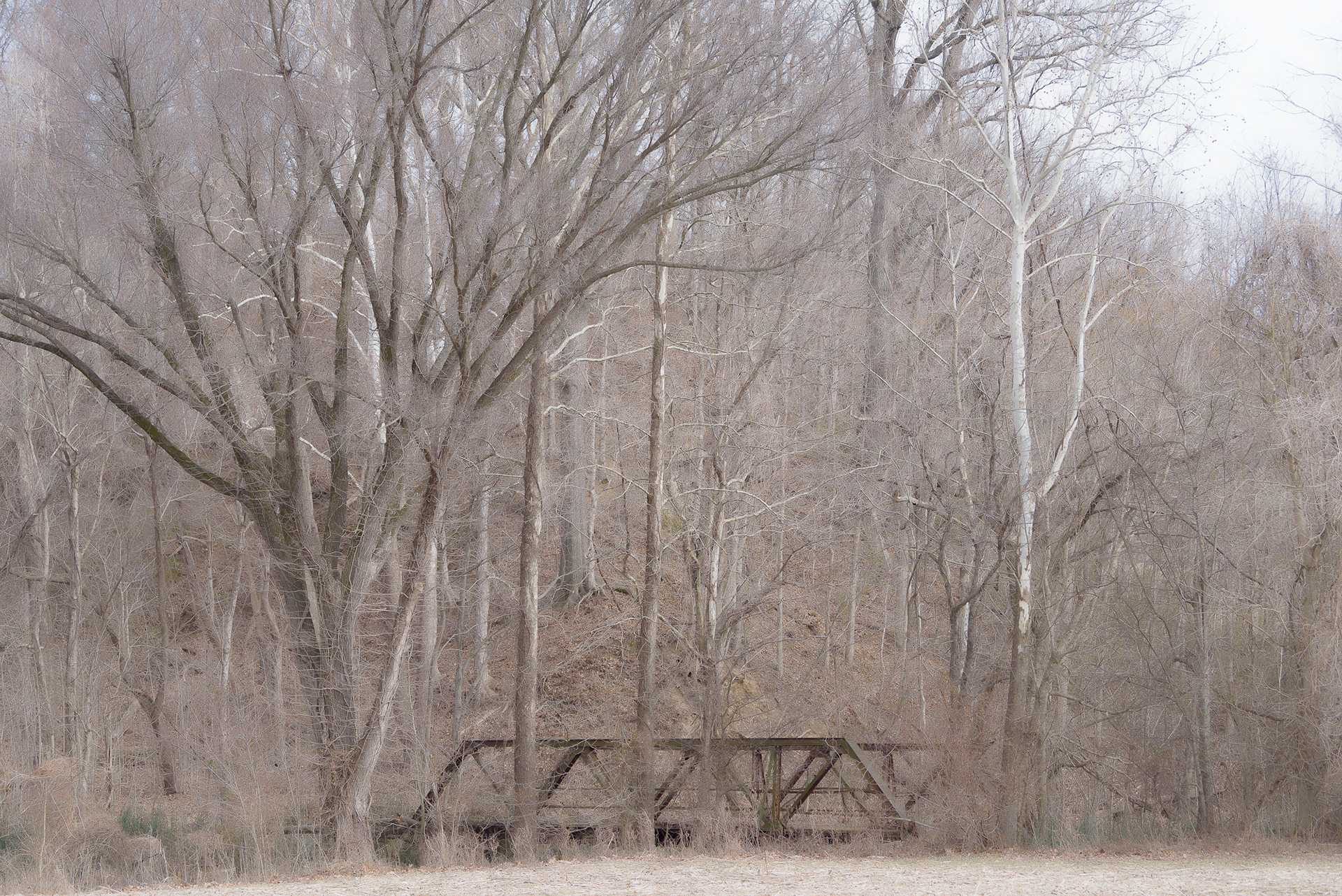 Reelfoot Lake
