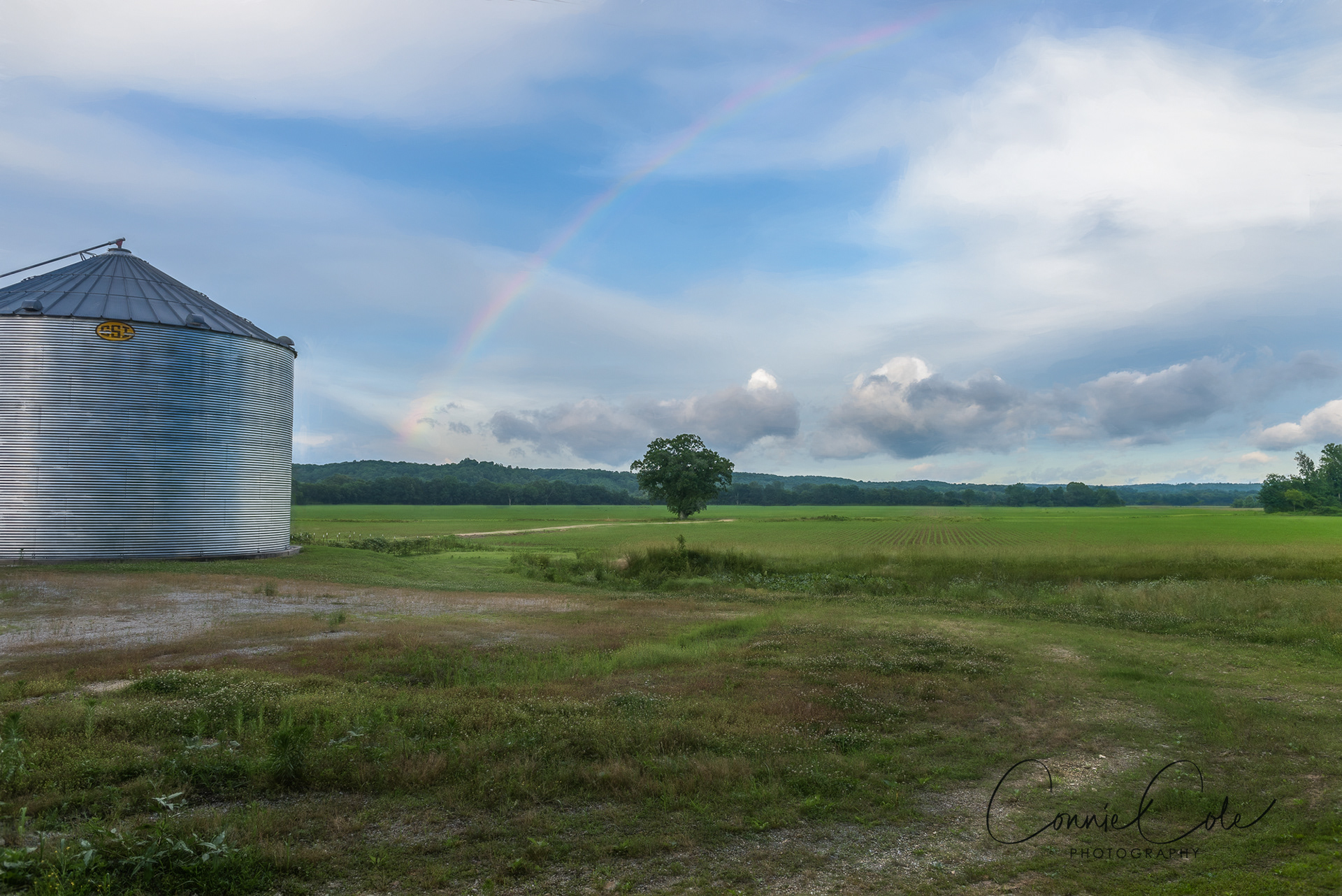 Bakerville, TN Rainbow