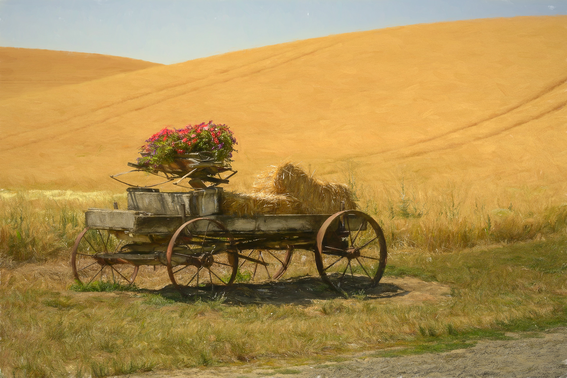 Back Roads in the Palouse