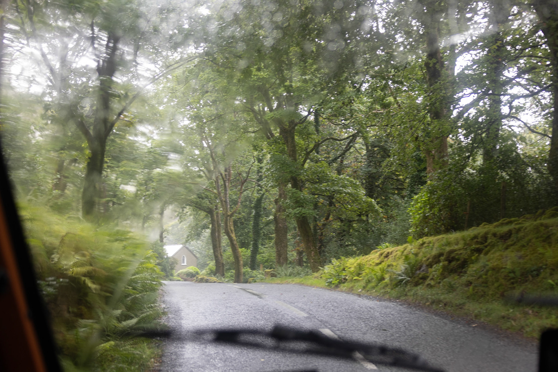 Temperate rainforest, Doolough Valley