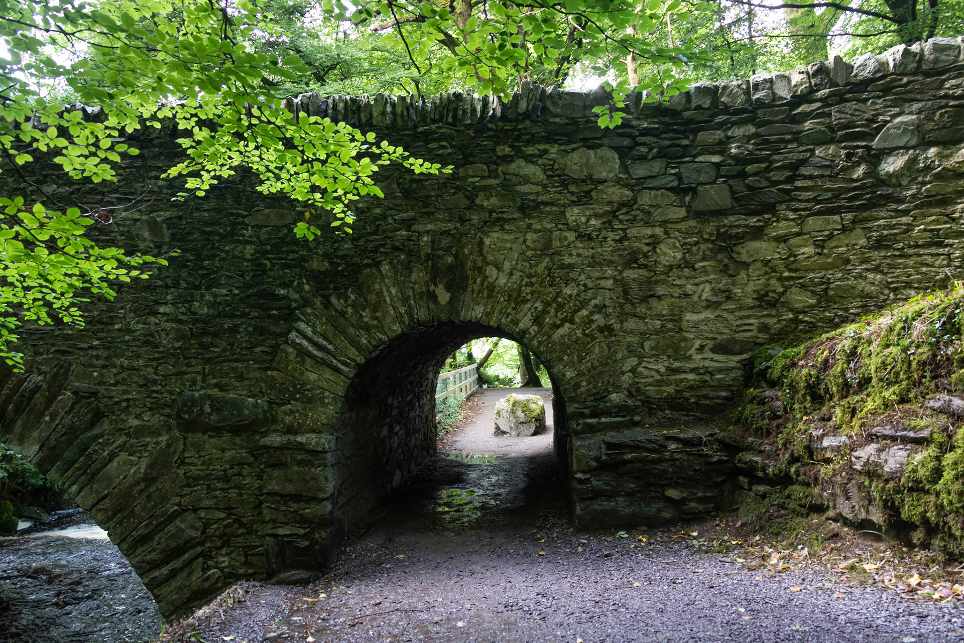 Bridge over Owengarriff River, Killarney National Park