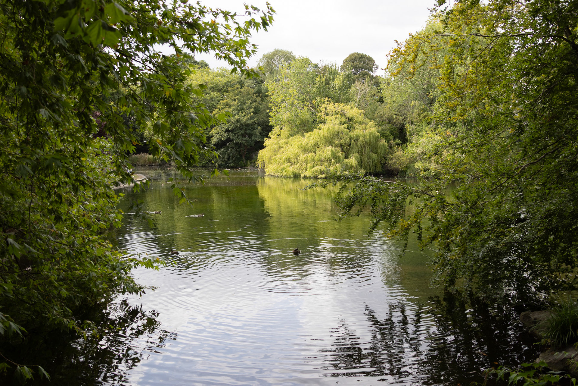 View from bridge at St Stephen's Green