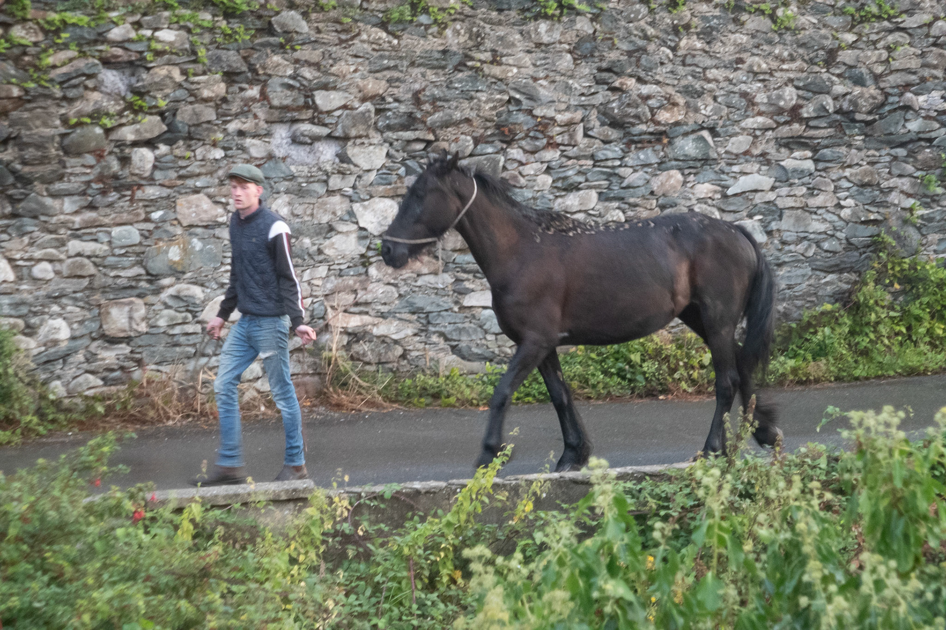 Abbey Lodge, Killarney