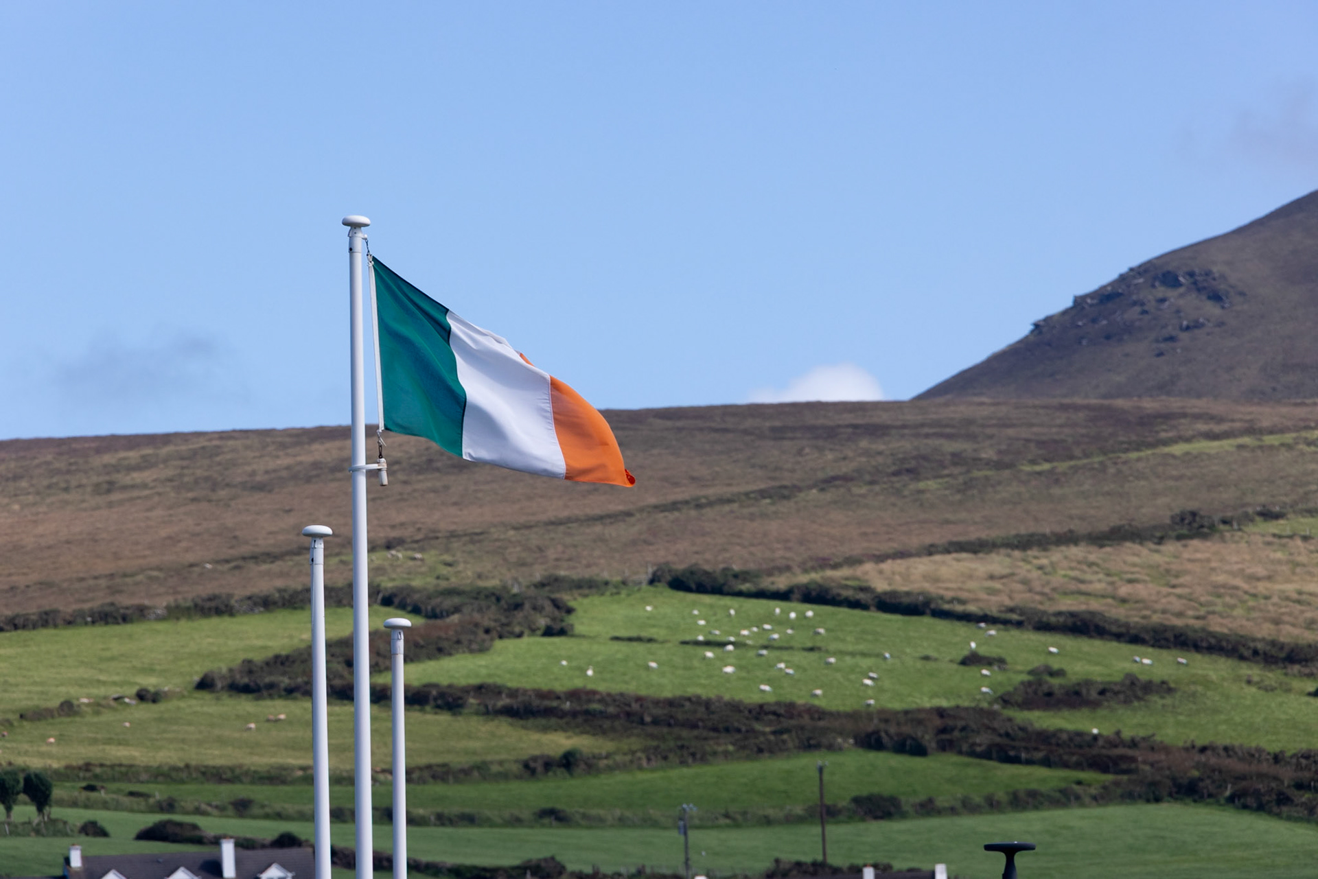 Irish flag at The Great Blasket Centre