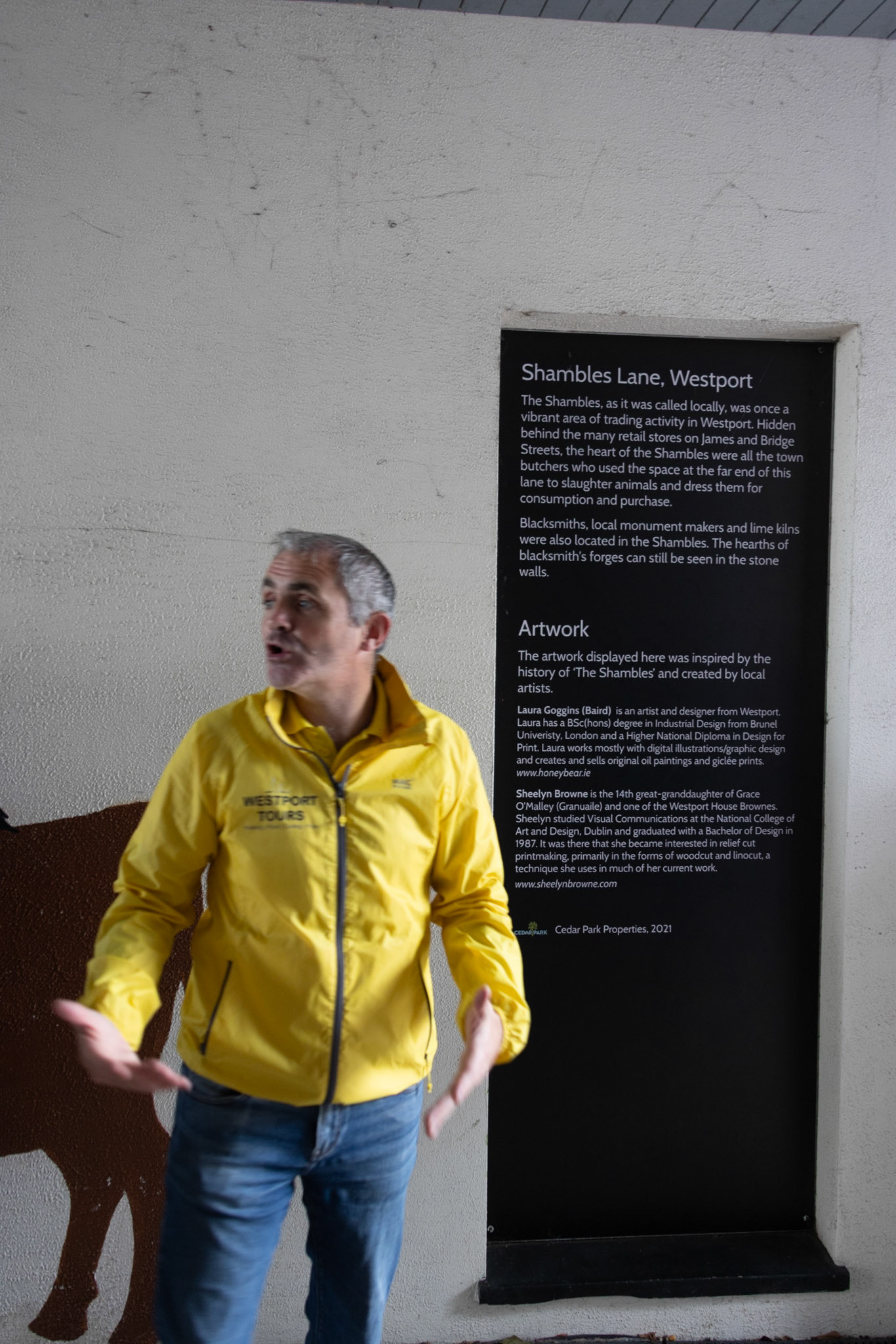 The Shambles Lane, Westport