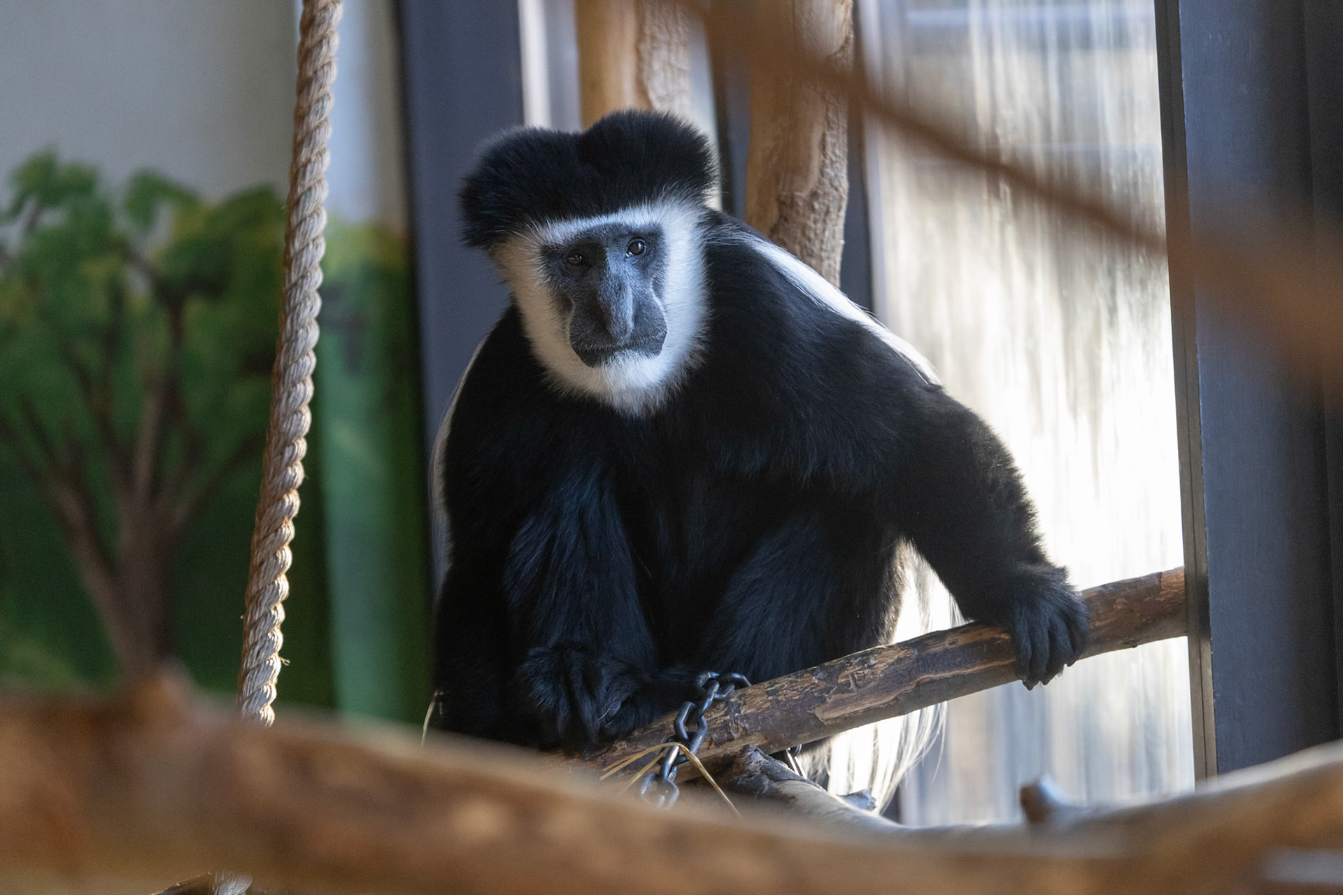 Rosamond Gifford Zoo