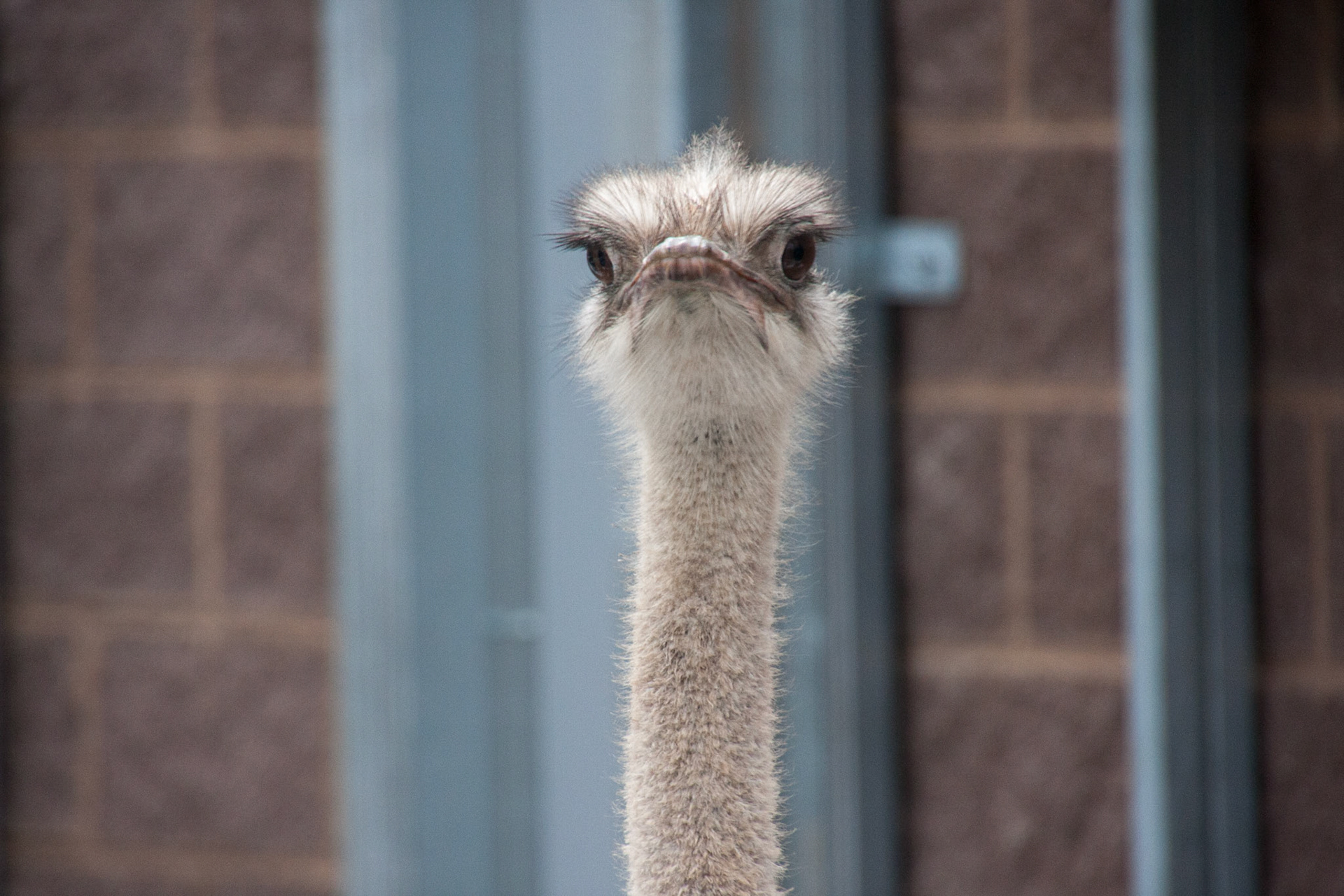 Seneca Park Zoo