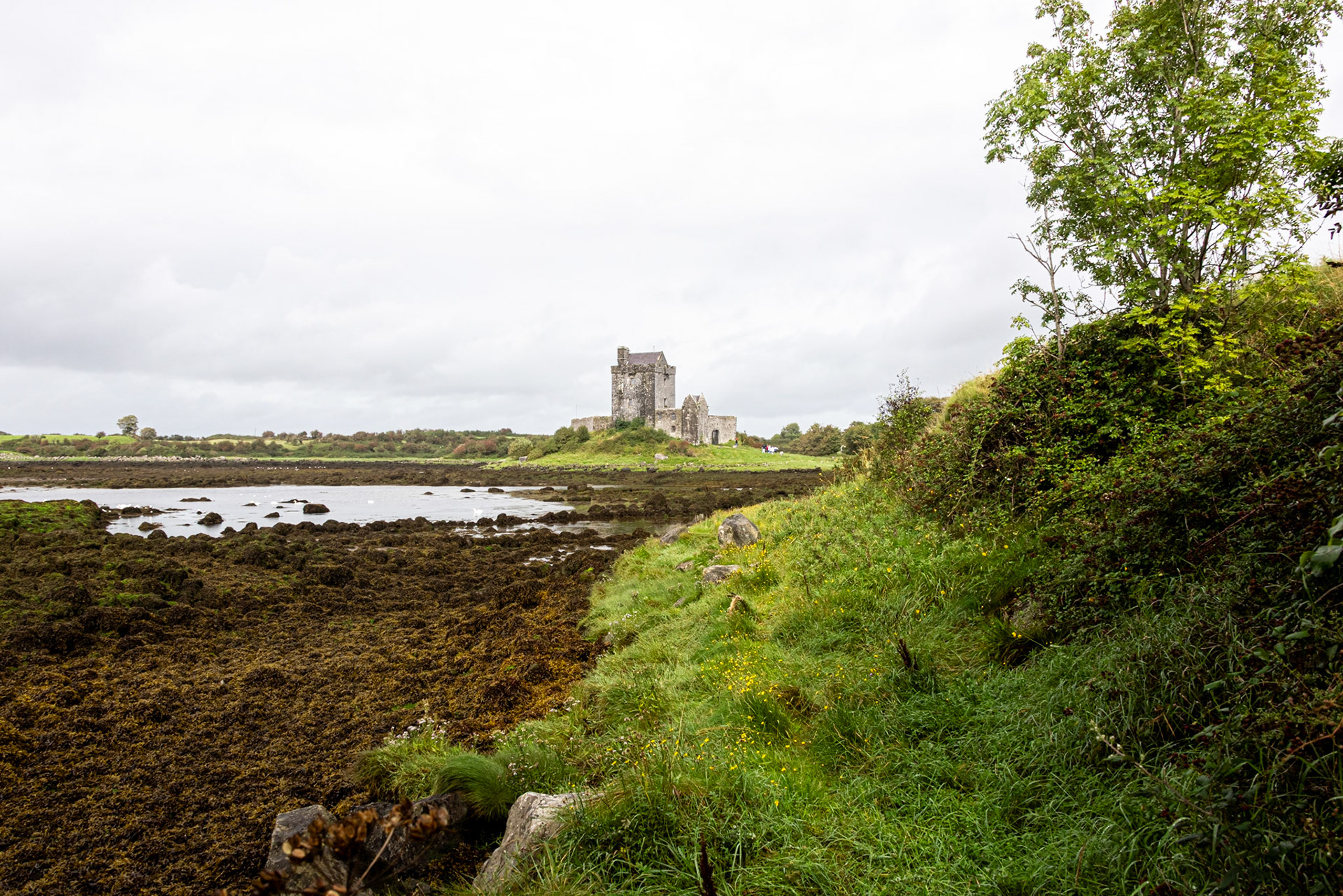 Dunguaire Castle