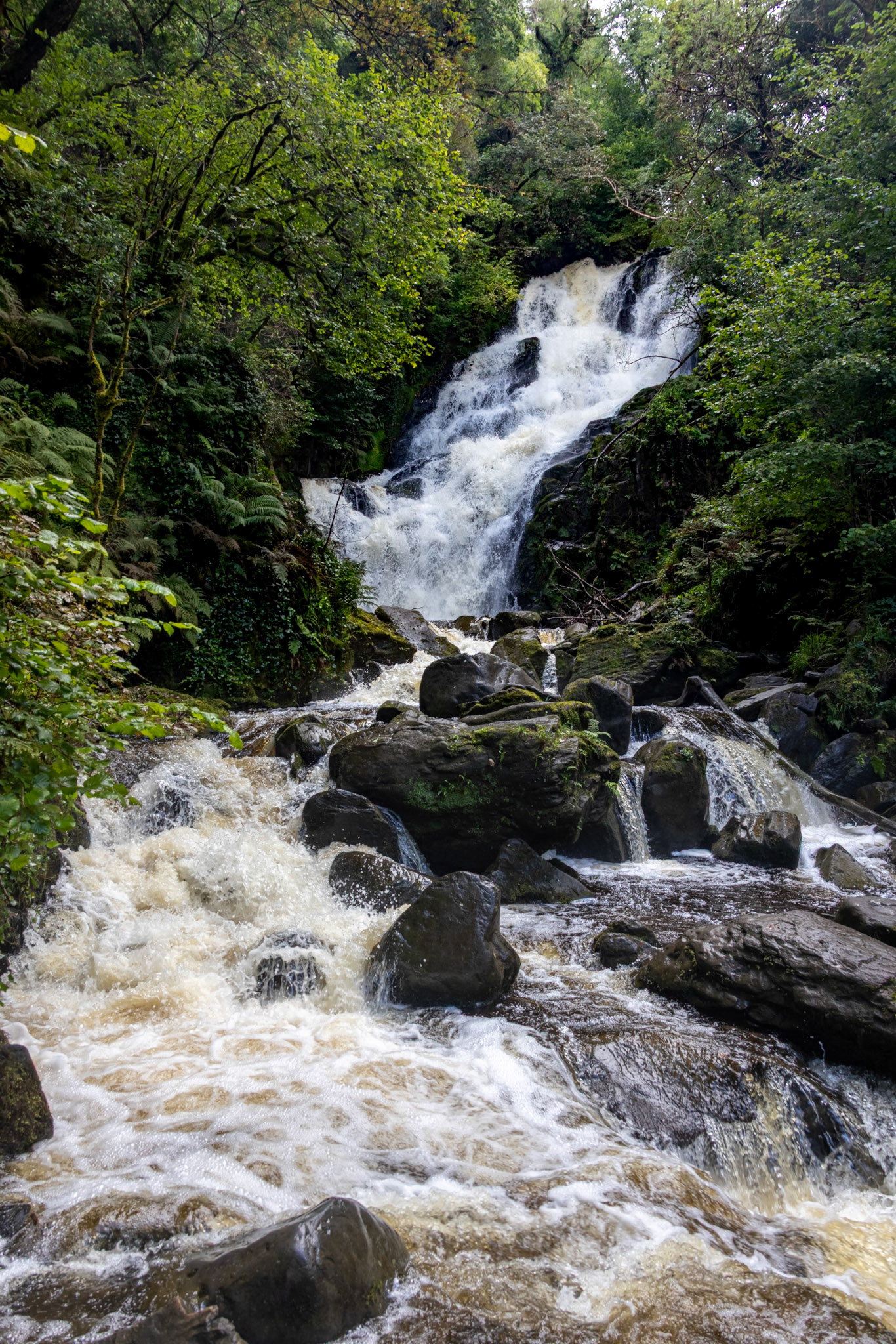 Torc Waterfall, Owengarriff River, Killarney National Park
