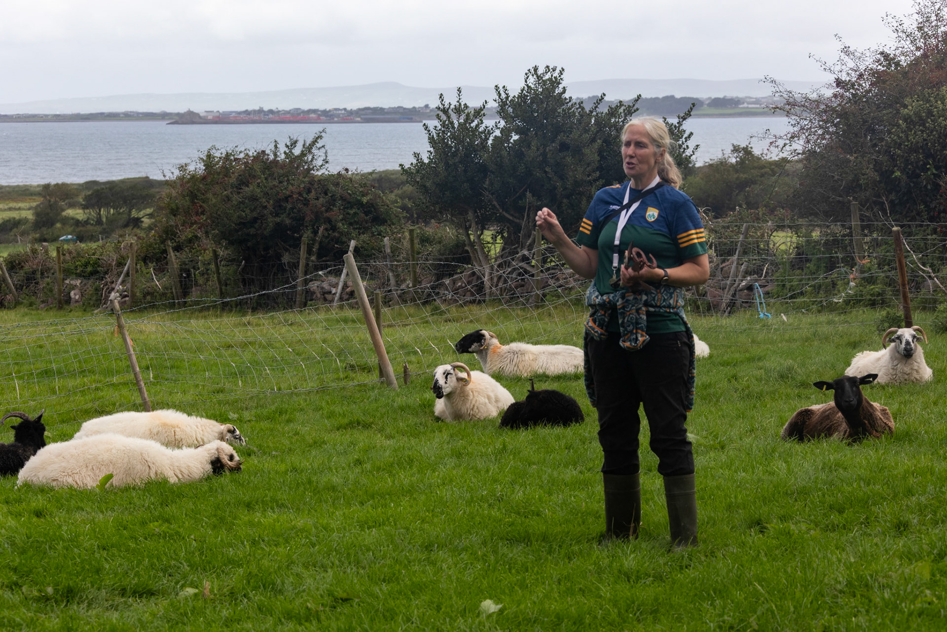 Bridget at sheep farm