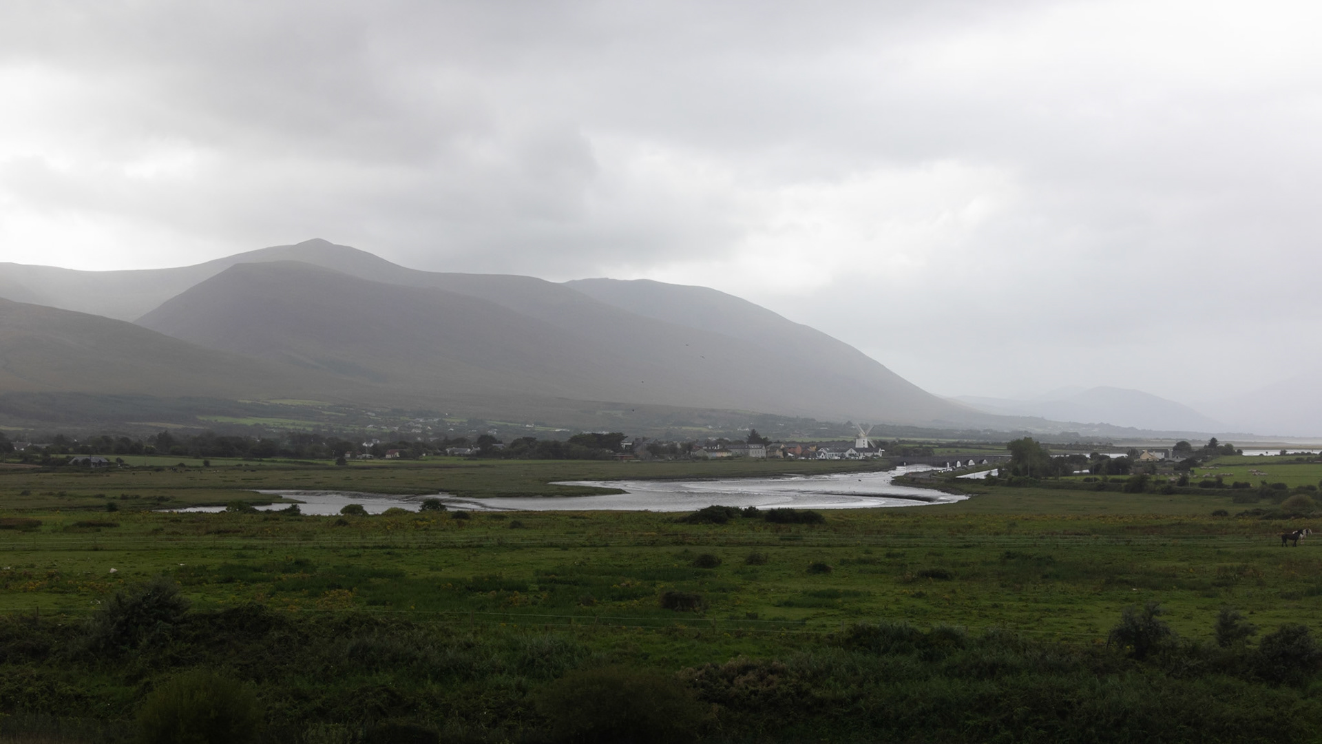 View from observation tower, Tralee Wetlands Centre