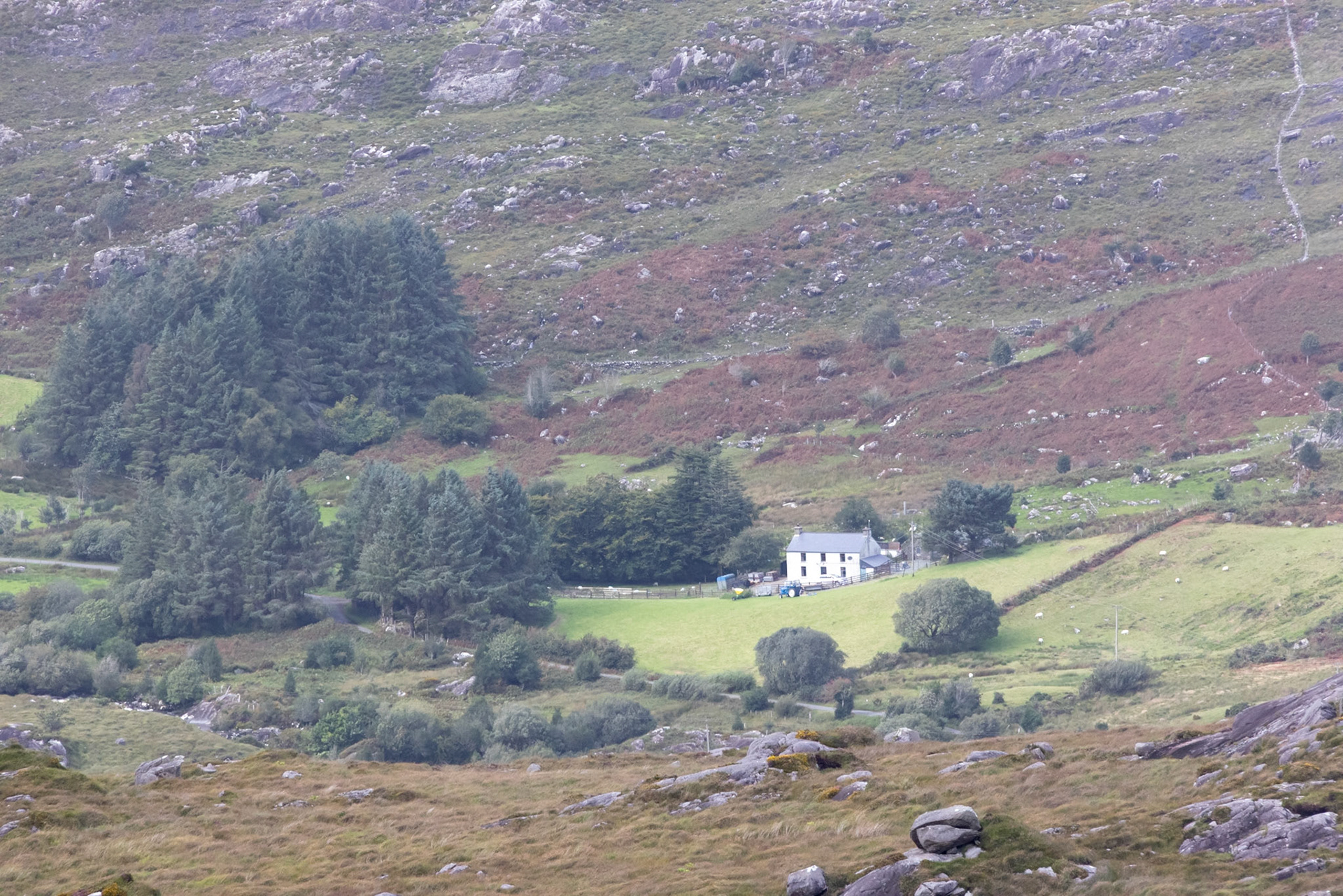 Lookout between Sneem and Killarney National Park