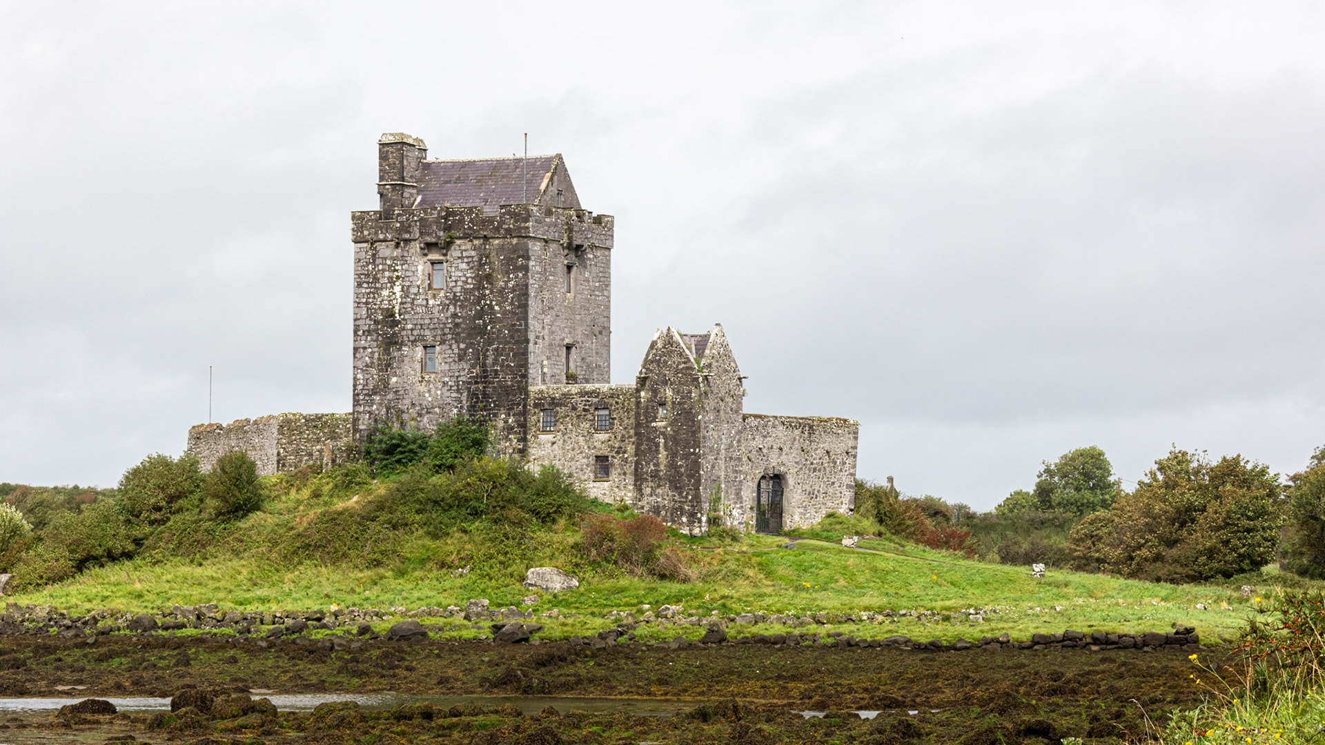 Dunguaire Castle