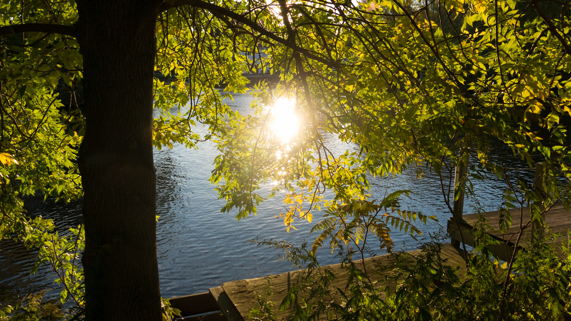 Canal setting sun