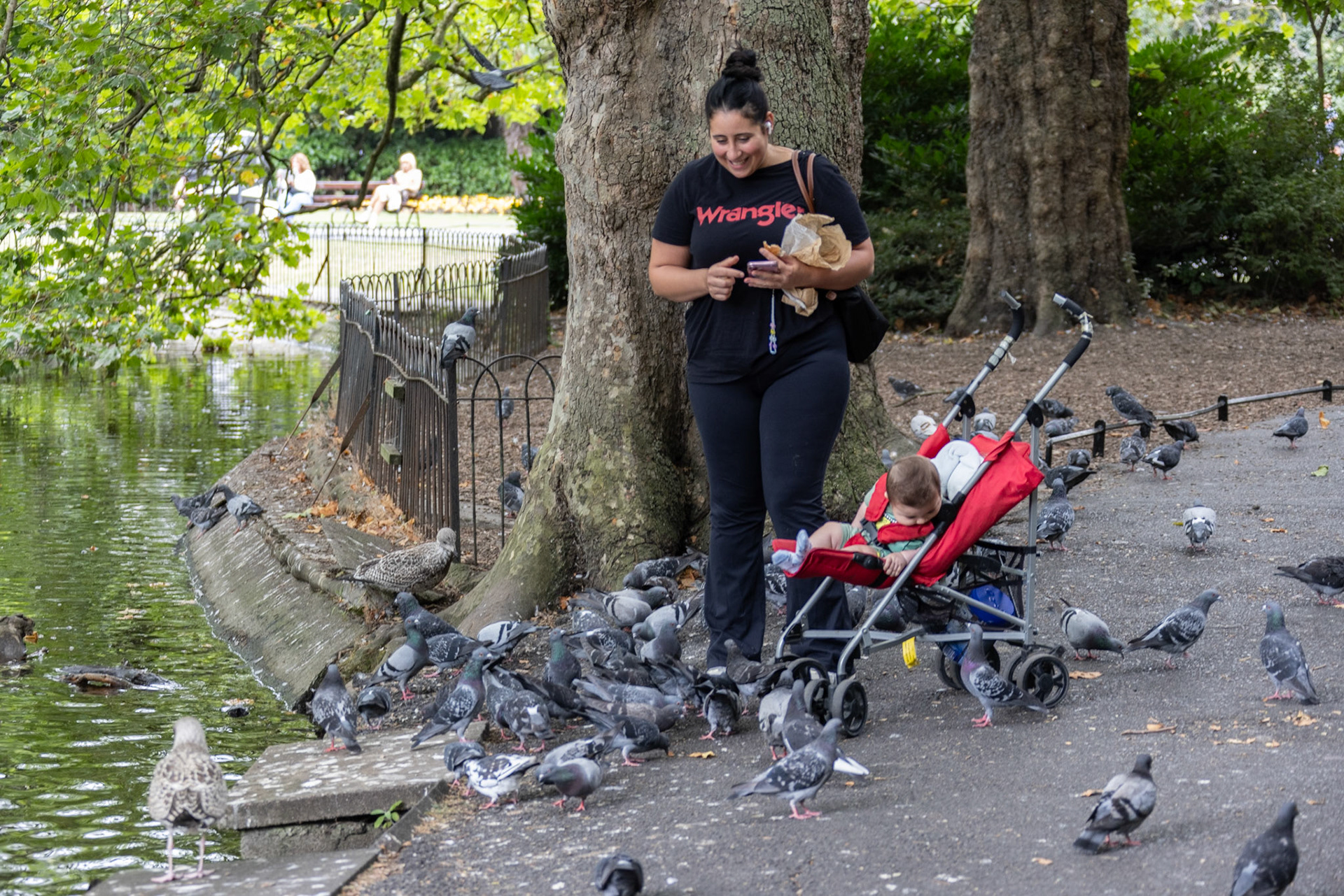 Pigeon swarm at St Stephen's Green