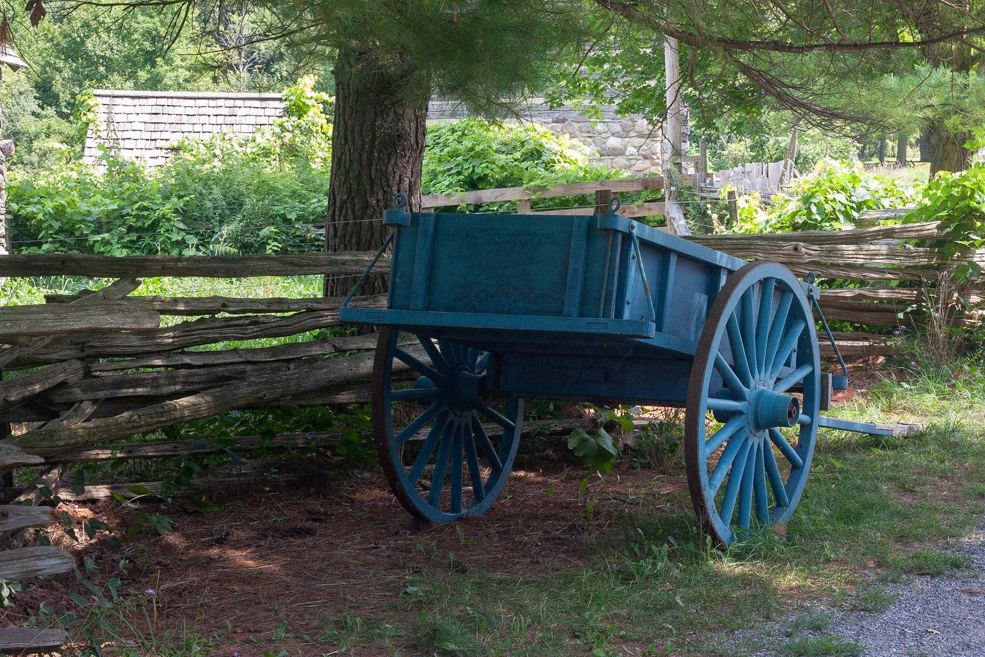 This was Color Day at GCVM, so I shot a blue (cerulean?) wagon.