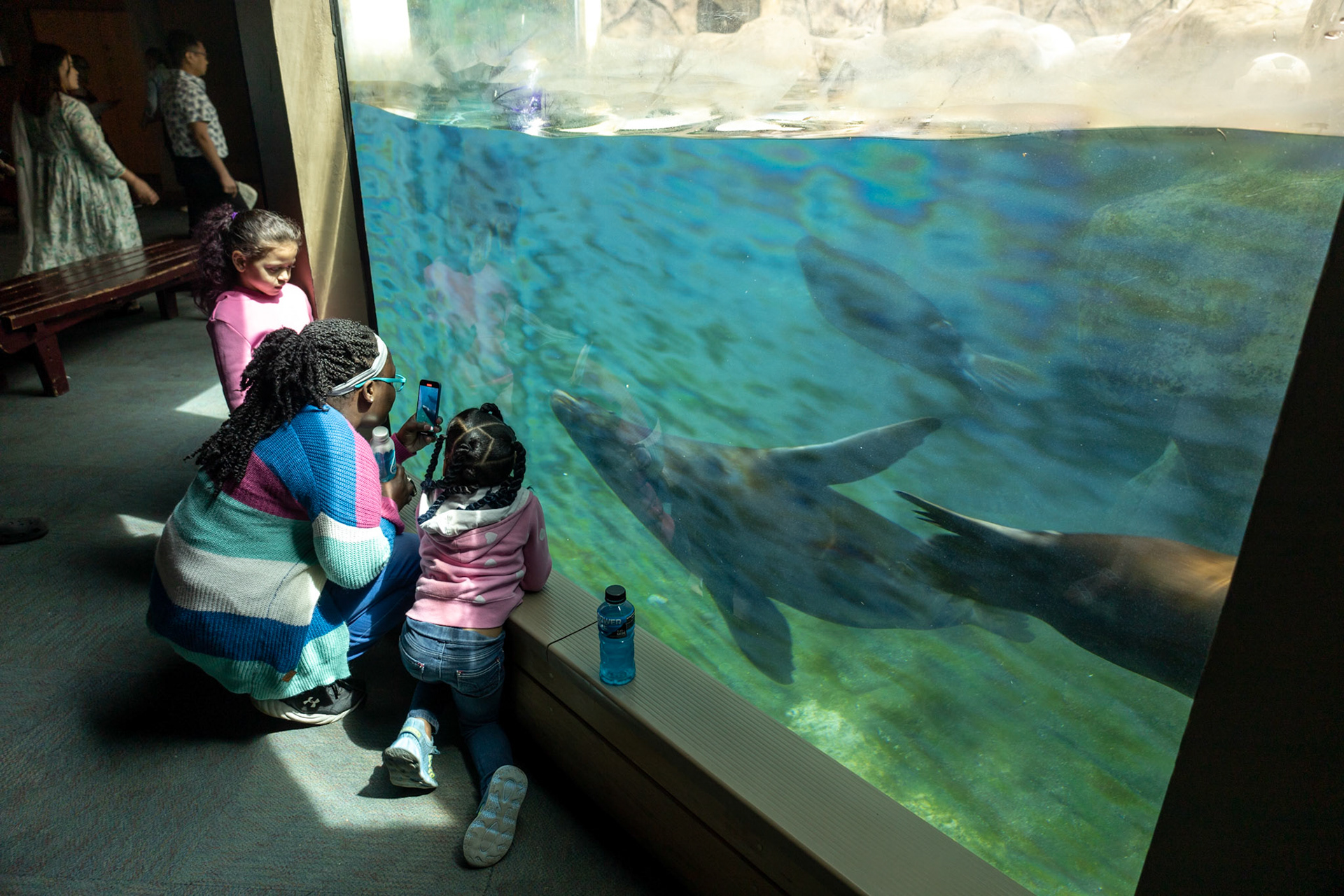 Sea lions and kids
