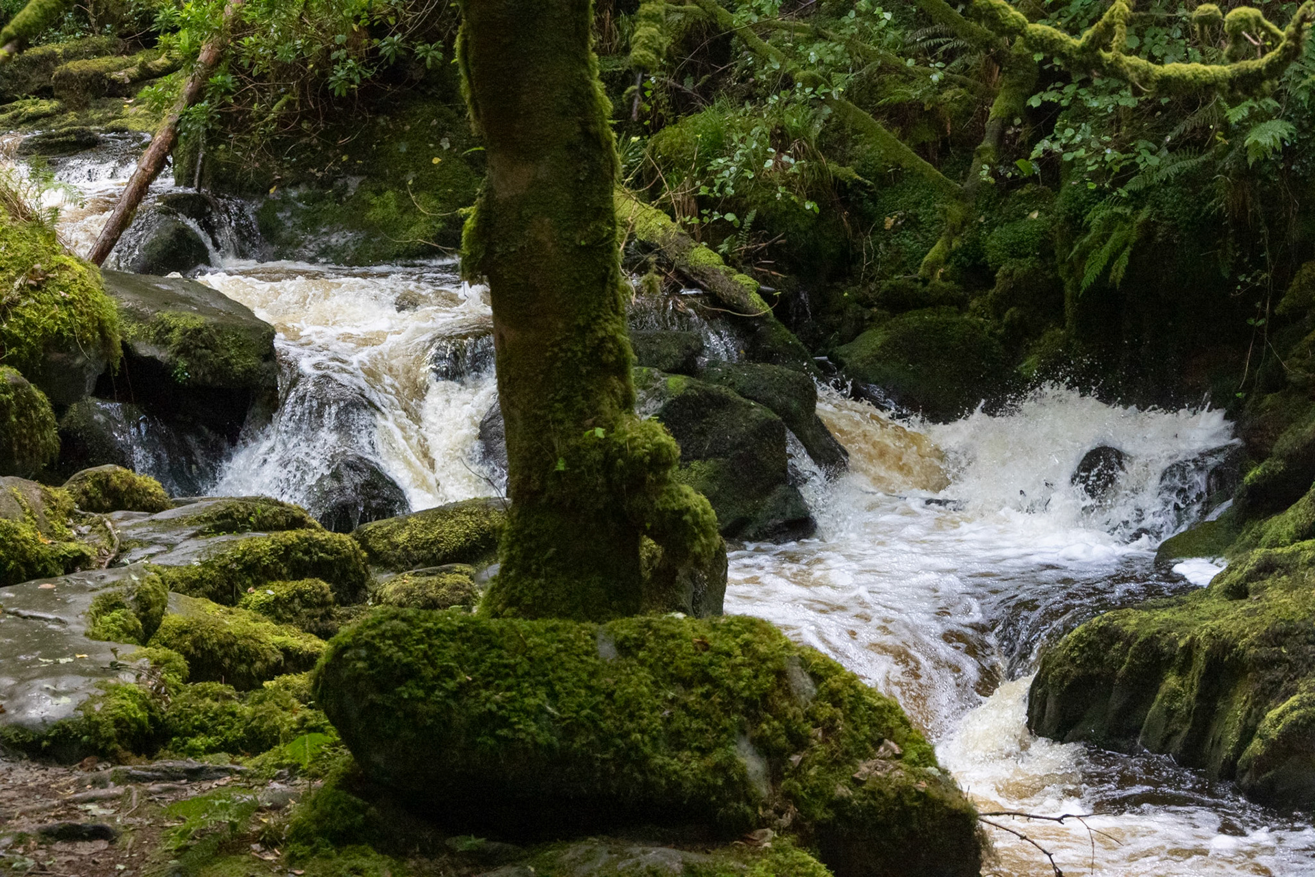 Torc Waterfall, Owengarriff River, Killarney National Park